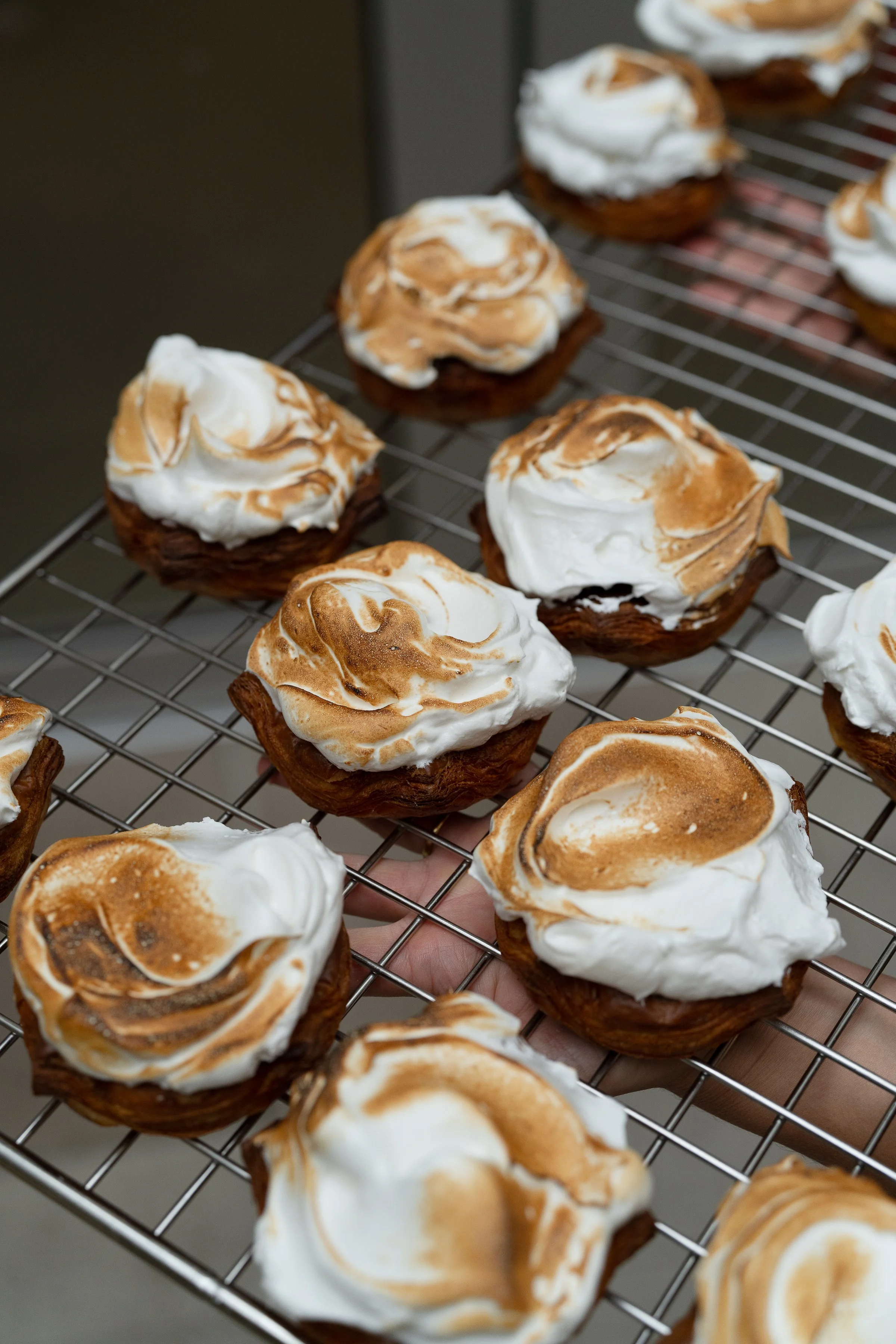 butterken_august_ambergardener-085.jpg