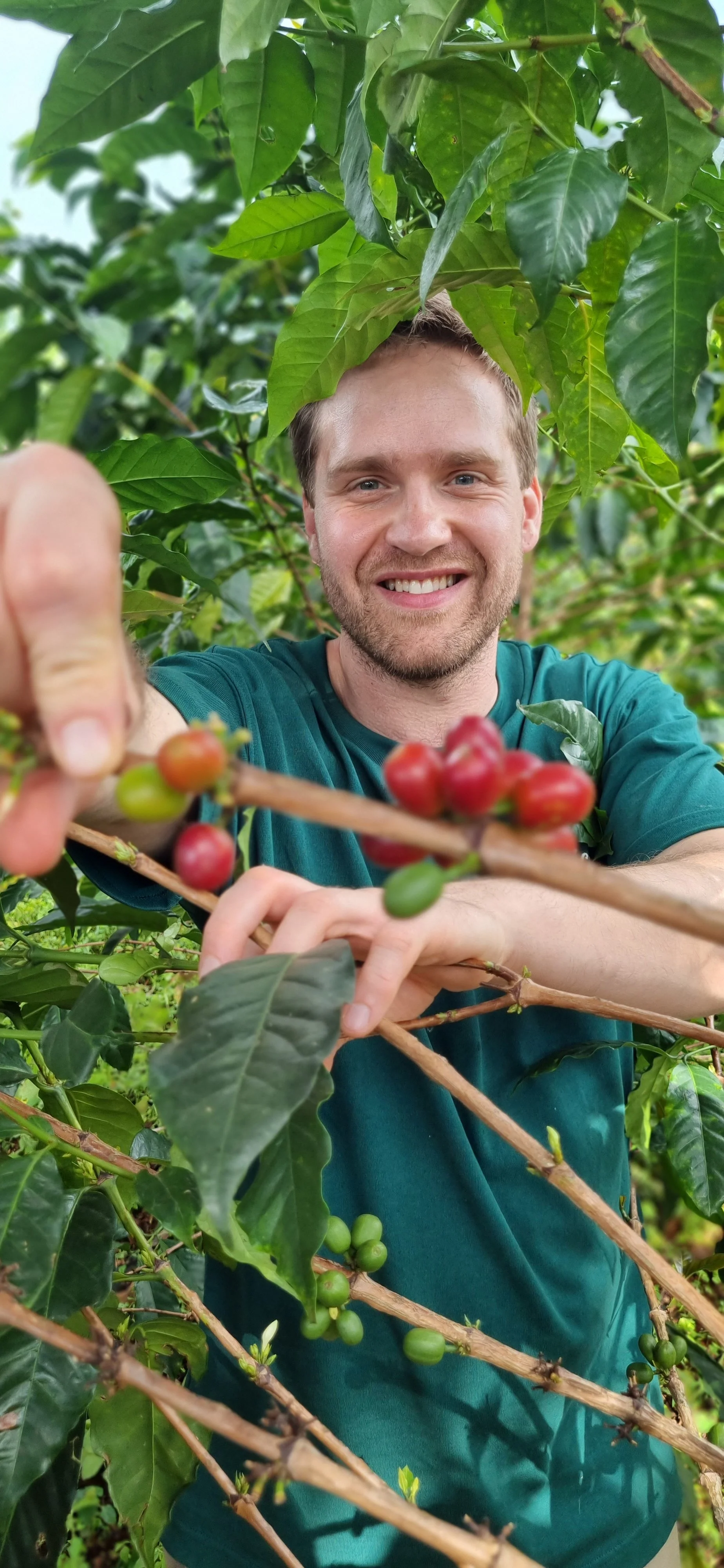 Hendrik picking cherries.jpg