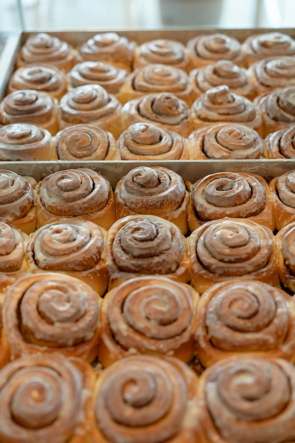 butterken17thapril-087.jpg