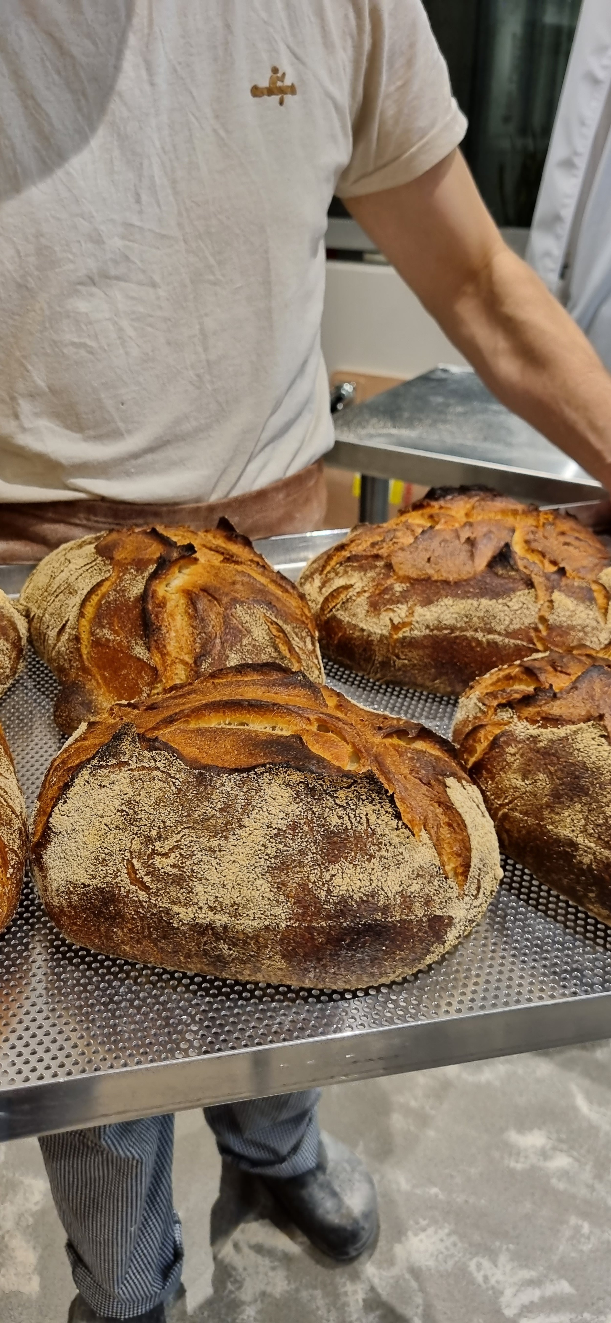 Butterken Bakery Artisan Sourdough Mt Eliza, Mornington Peninsula