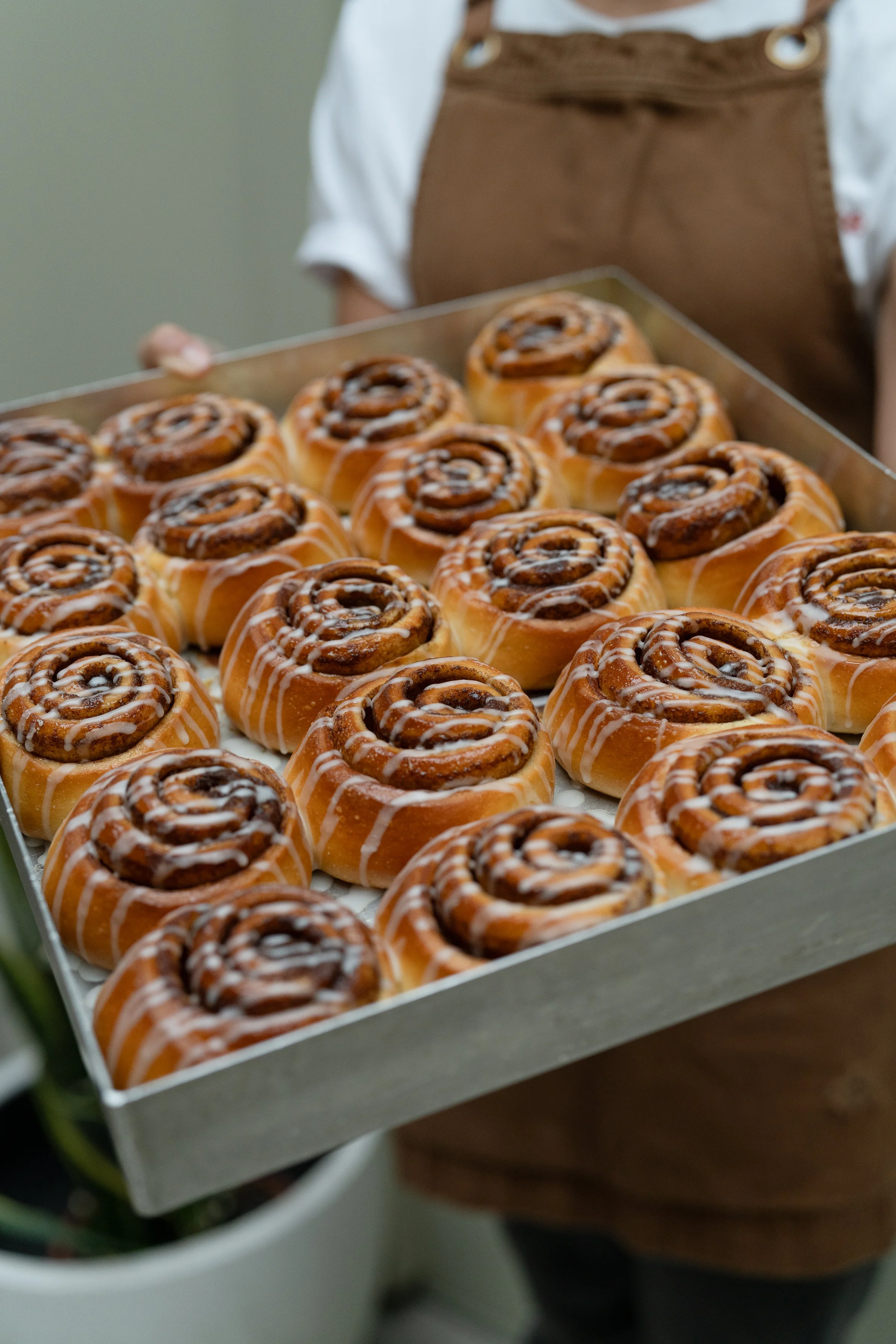 Zimt Schnecke (Cinnamon Scroll)