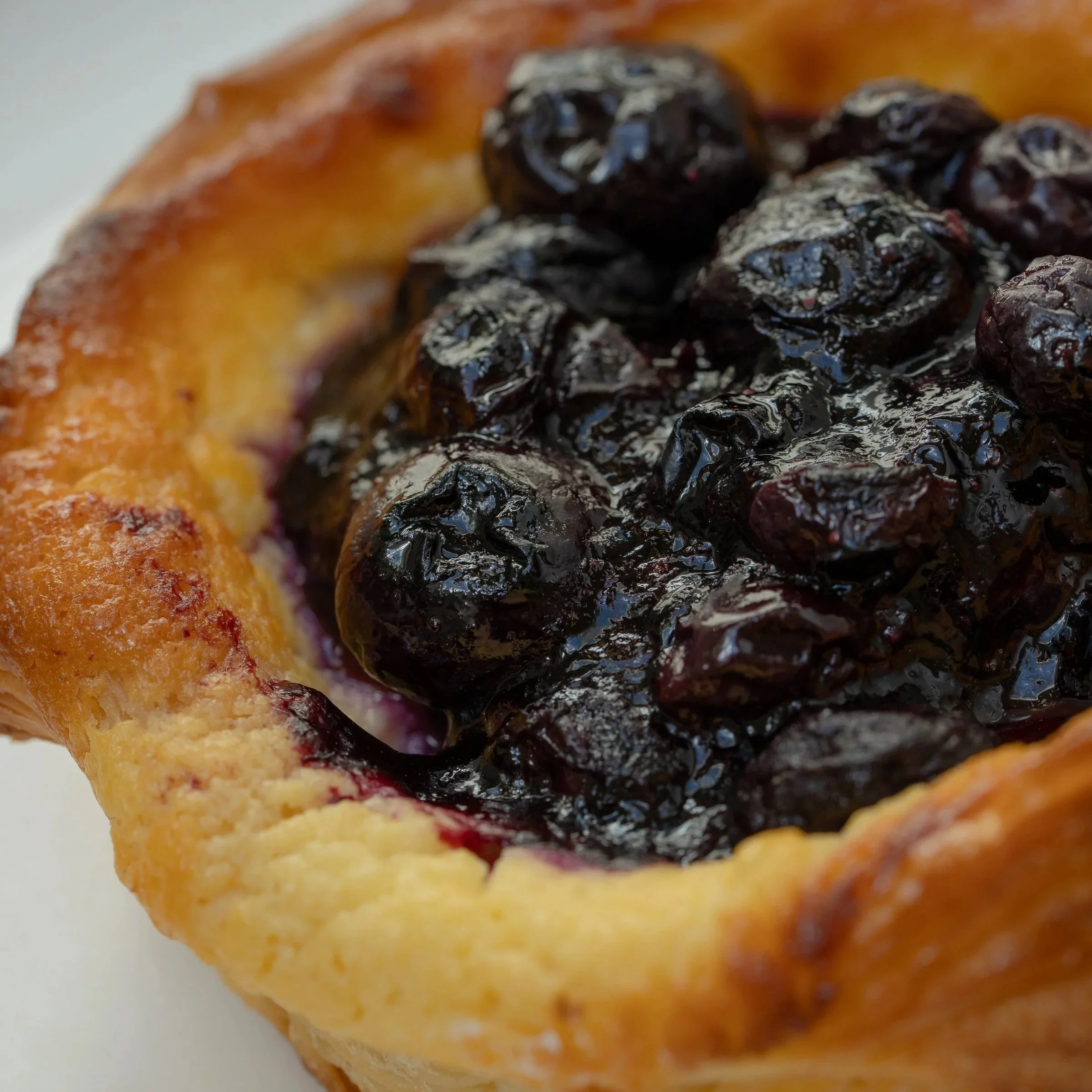 Butterken_Nov_byAmberGardener_Web-147+%281%29.jpg