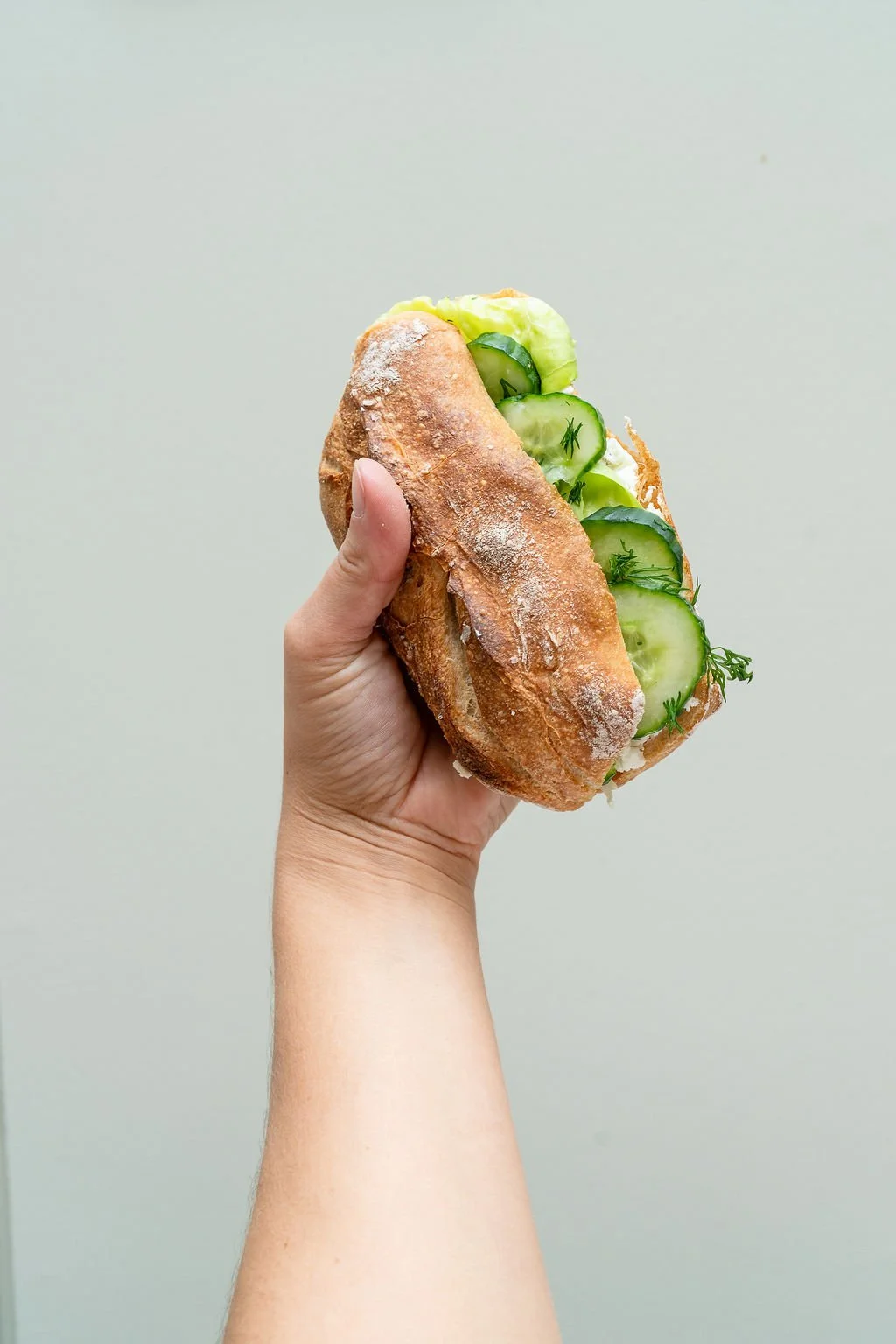 Goat's Cheese, Cucumber and Horseradish Roll