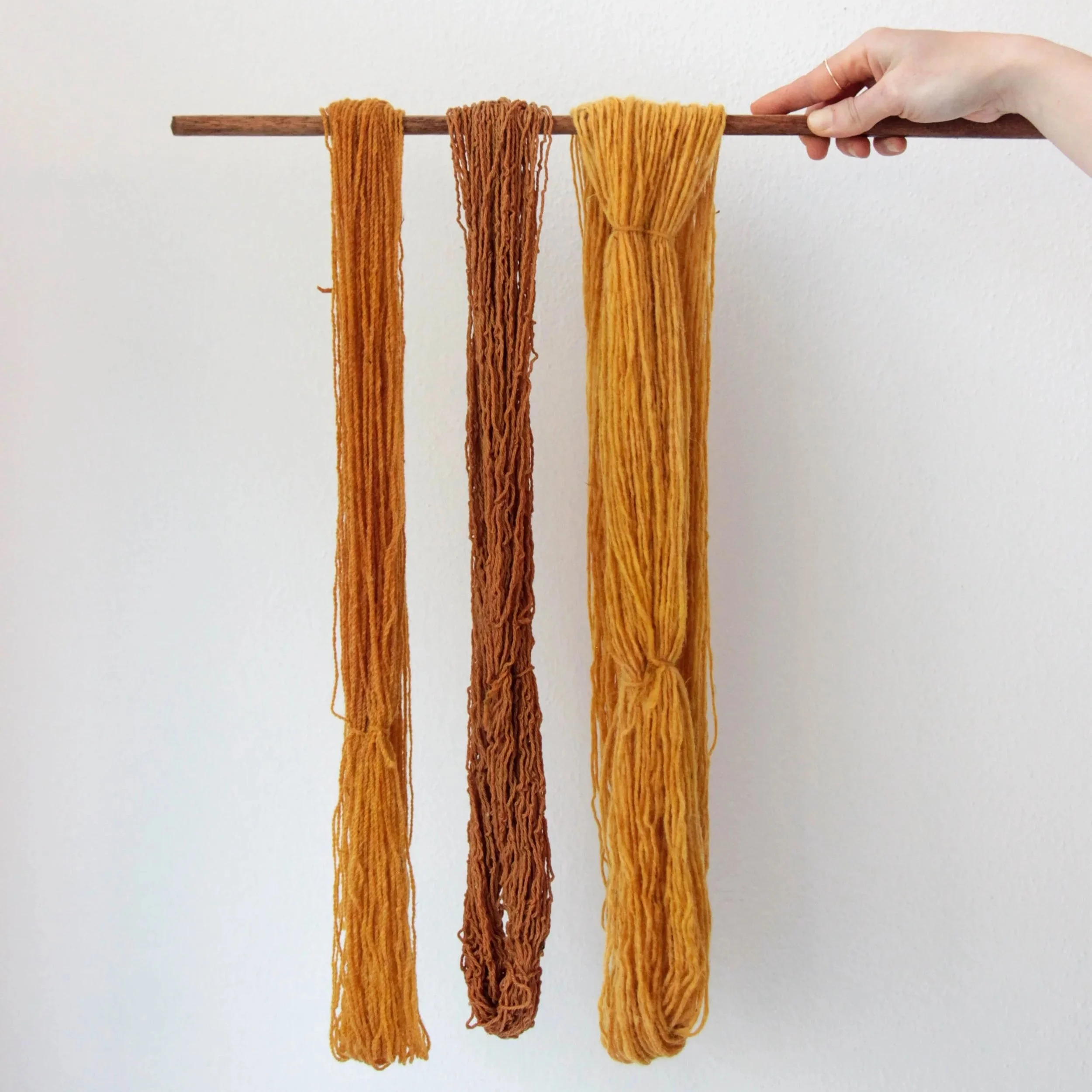 workshop-tinturaria-natural-porto-7.jpg