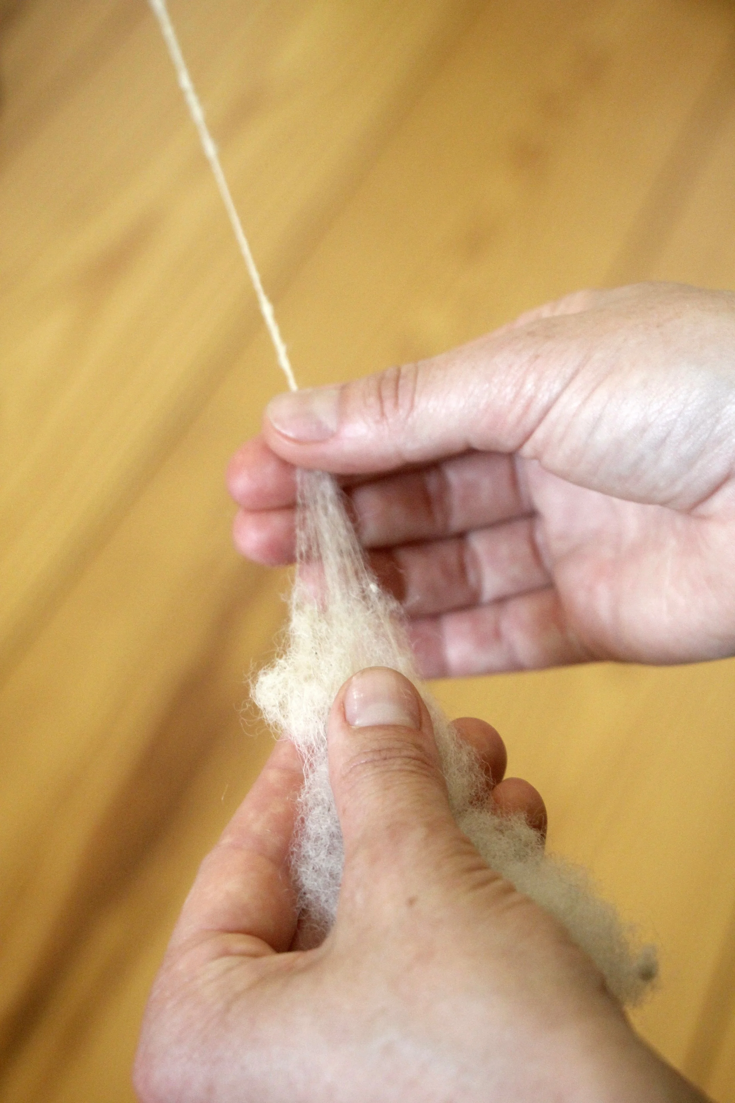 workshop-processamento-lã-atelier-sem-forma-6.jpg