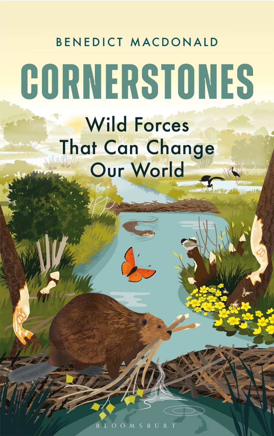 Rachel-Hudson-Illustration-children-books-editorial-maps-greetings-cards-wildlife-nature-animals-cover-art-Cornerstone-by-Bloomsbury.jpg