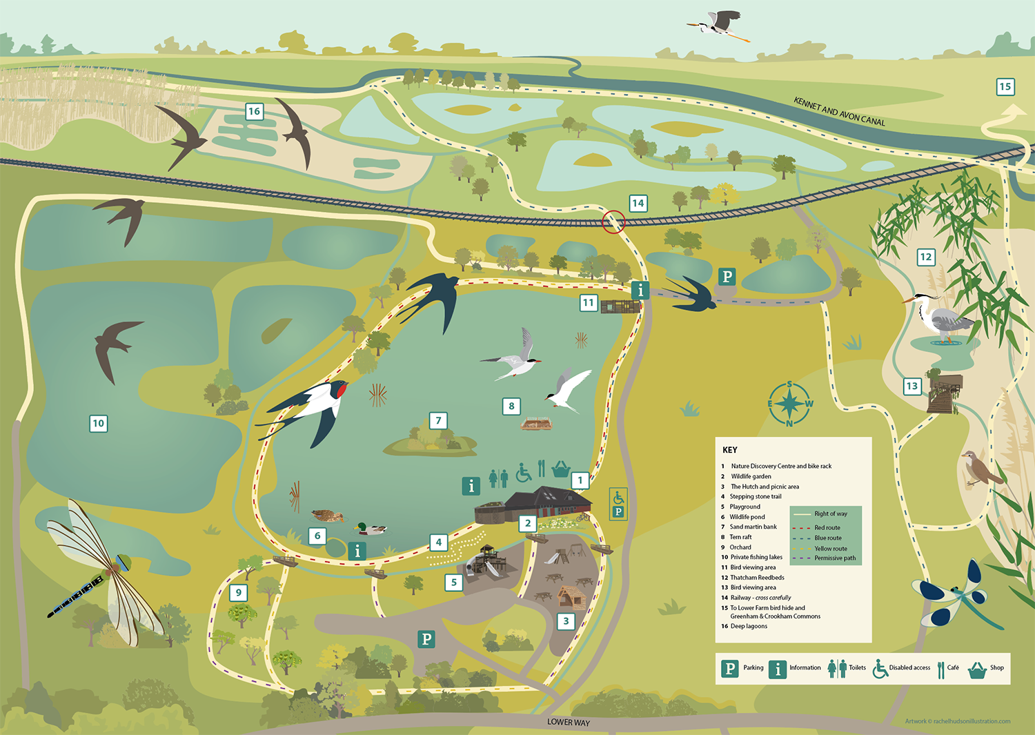 Illustrated map for The Nature Discovery Centre Thatcham_rachelhudsonillustration.png