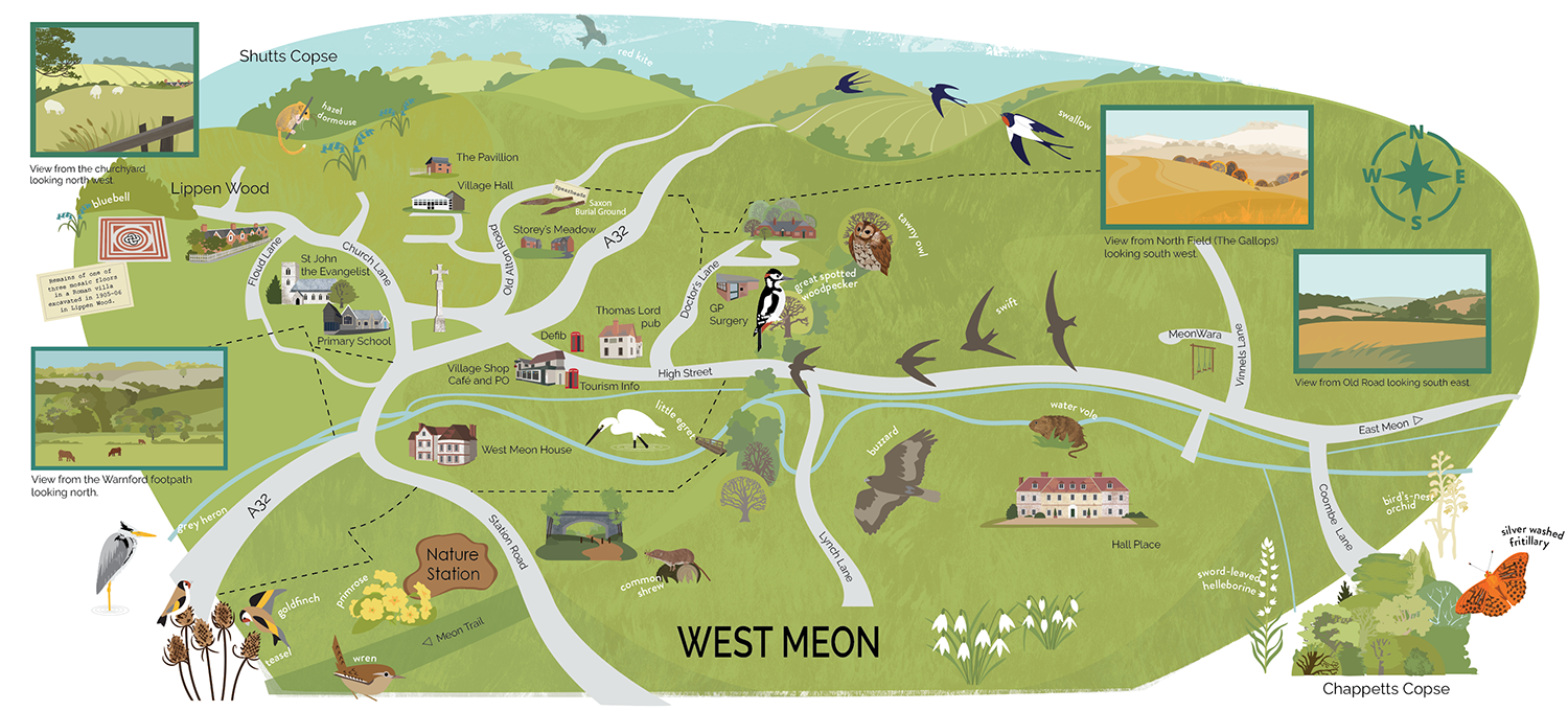 Illustrated map for West Meon Village Hampshire_rachelhudsonillustration.png
