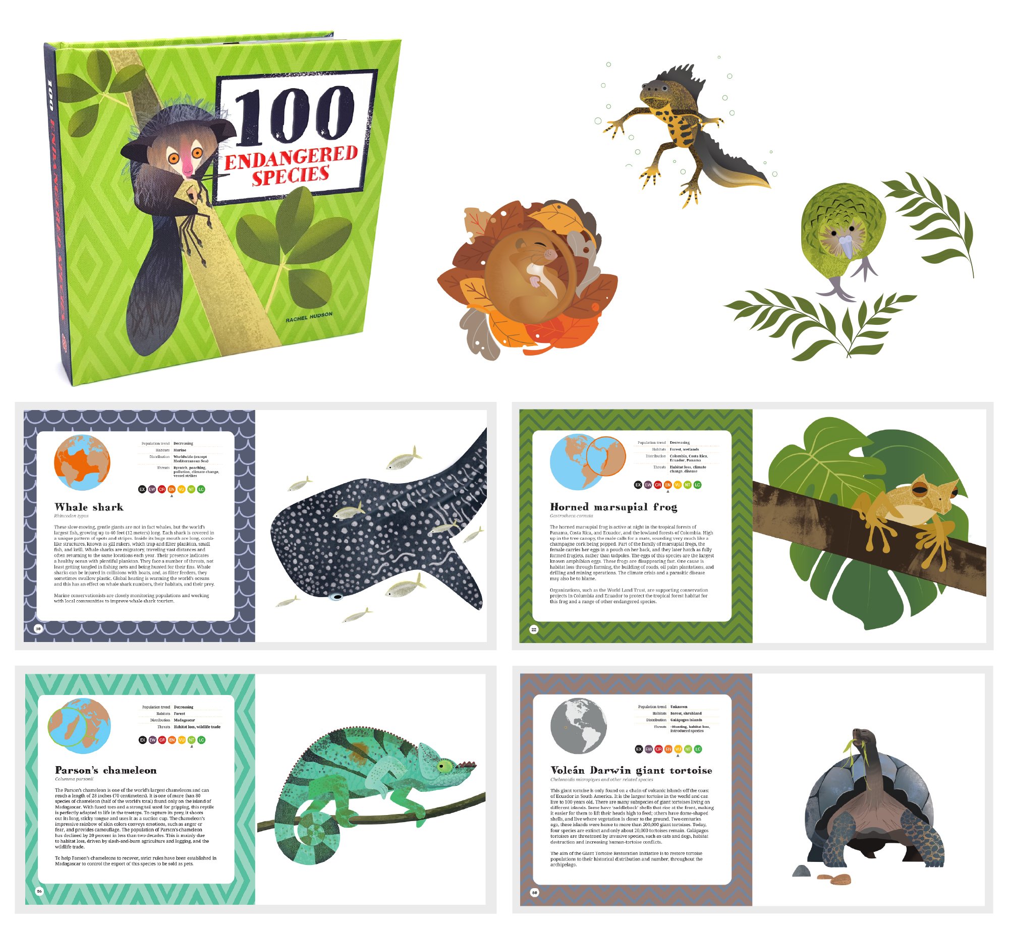 100 Endangered species montage_Rachel Hudson Illustration.jpg