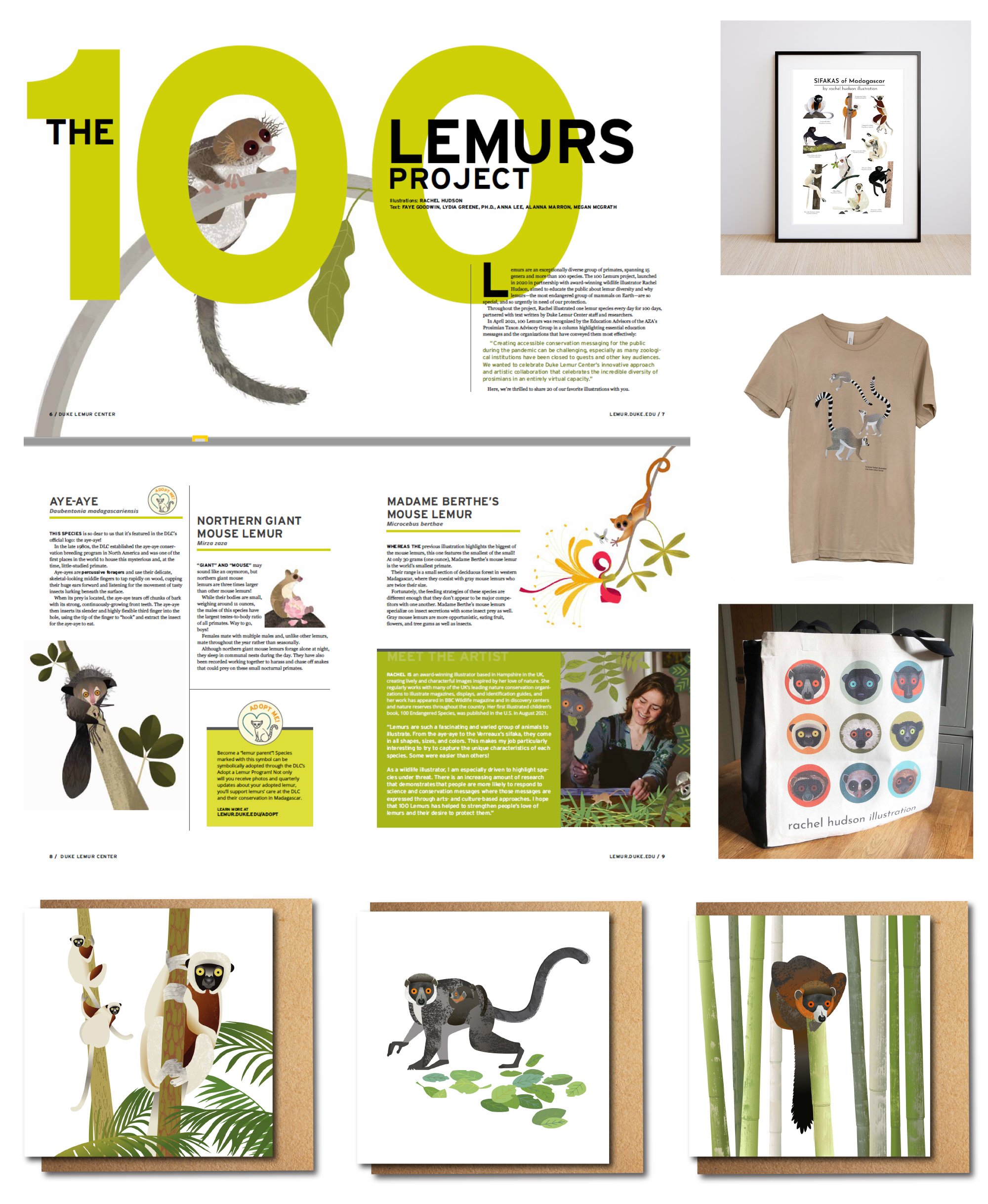 100 Lemurs Project by Rachel Hudson and Duke Lemur Center.jpg