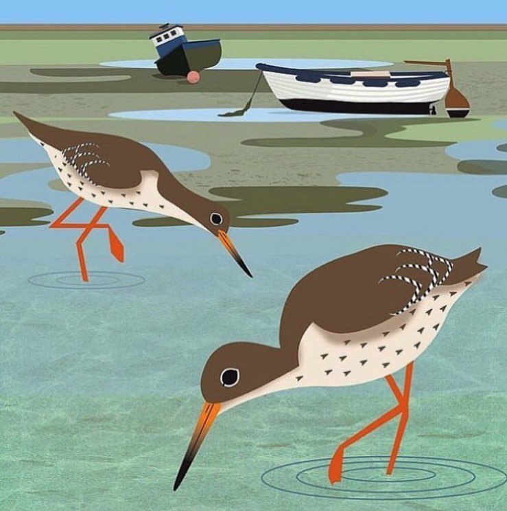 Redshank and beached boats at low tide. There are just two weeks until Hampshire Ornithological Society&rsquo;s Members&rsquo; Day on 6 April at St Swithun&rsquo;s in Winchester. I&rsquo;ll be there exhibiting my bird illustrations. @chrisgpackham2 w