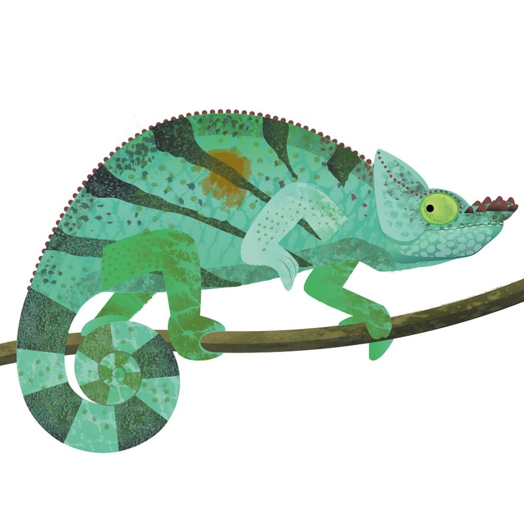 Parson&rsquo;s chameleon going about his business on a Sunday morning. Did you know I&rsquo;m a member of Illustrators For Hire? It&rsquo;s a curated list of 200 professional illustrators across the world, established by the founders of @theydrawandg