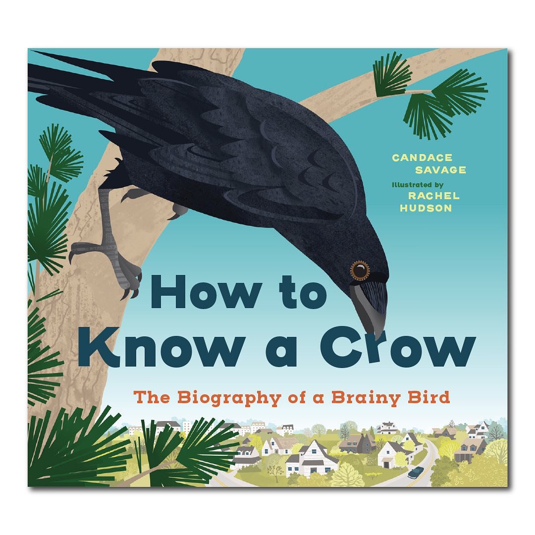 I&rsquo;m super excited to reveal the cover of How to Know a Crow, written by Candace Savage, illustrated by me, published this September by Greystone Kids (Oct in the US). Available now to pre-order at bookshop.org.
.
For 9-12 year olds, this book e