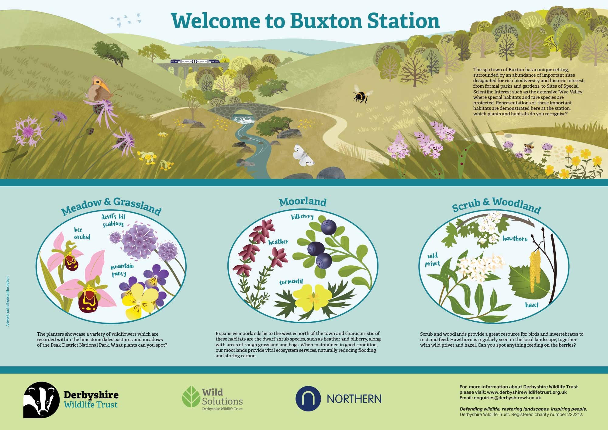 Buxton station board_Northern Rail_byrachelhudsonillustration.jpg