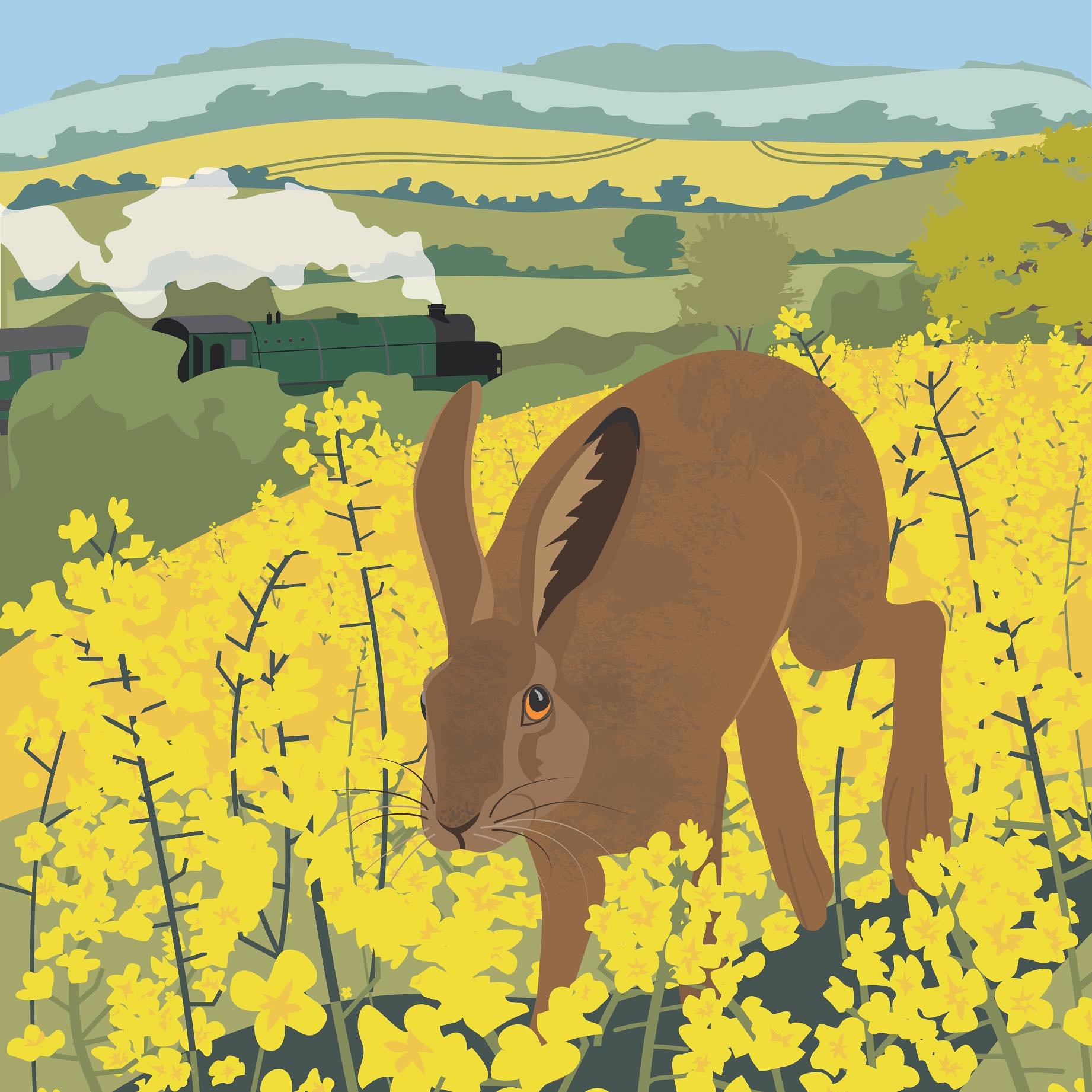 Two hares skittered across the path in front of me yesterday - headed for a race track alongside a field of oil-seed rape. Hello month of May. ☀️