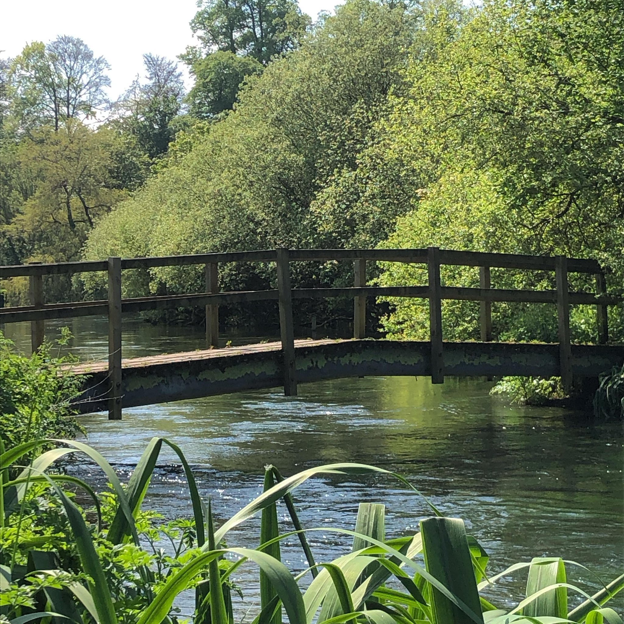 Ovington bridge spanning the River Itchen - one of the most iconic chalk streams in the world. Look&rsquo;s idyllic right? As I sat sketching, I got talking to a knowledgeable local who told me that the river has never been in poorer health. And as I