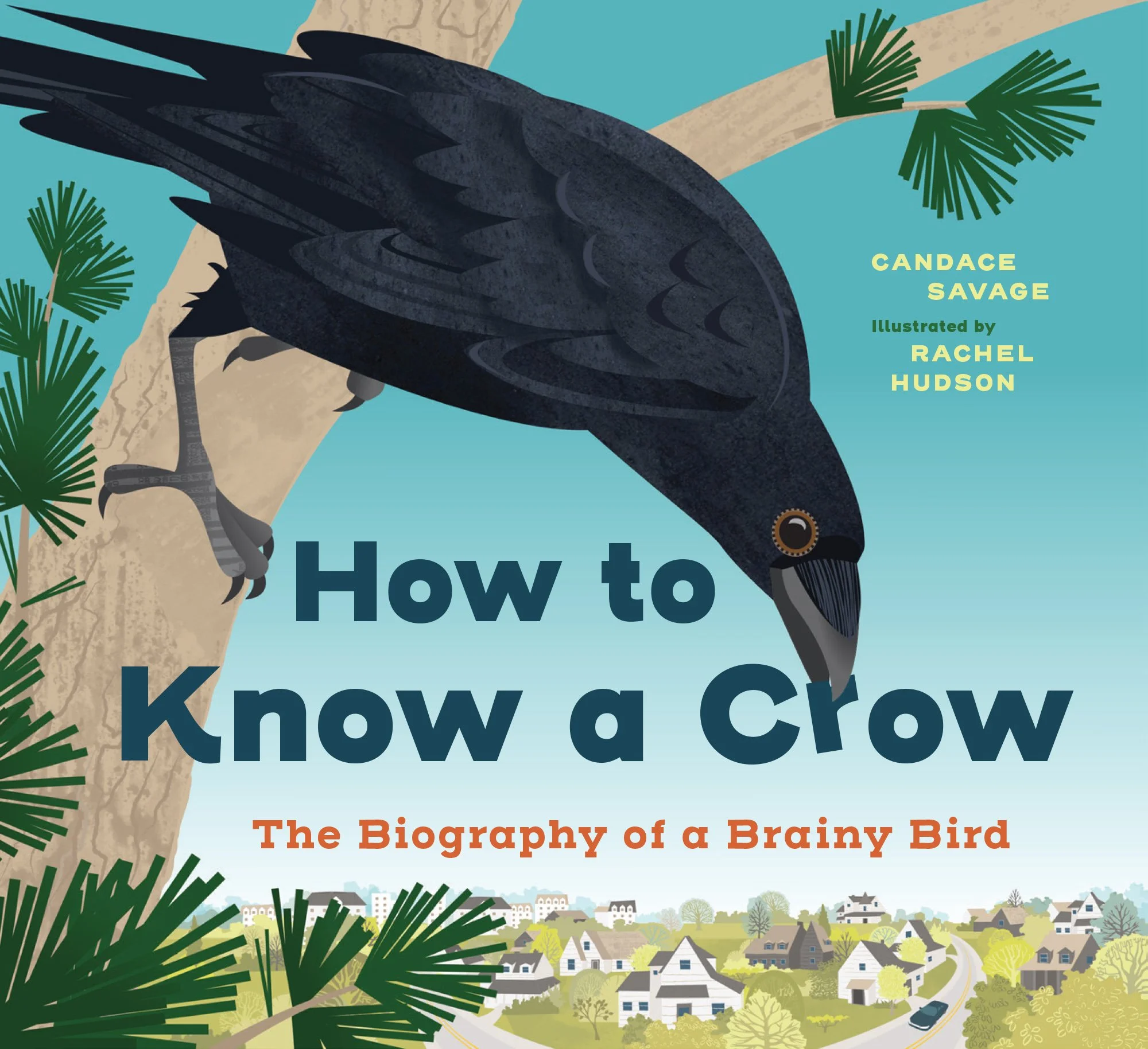 How to Know a Crow - Greystone Kids