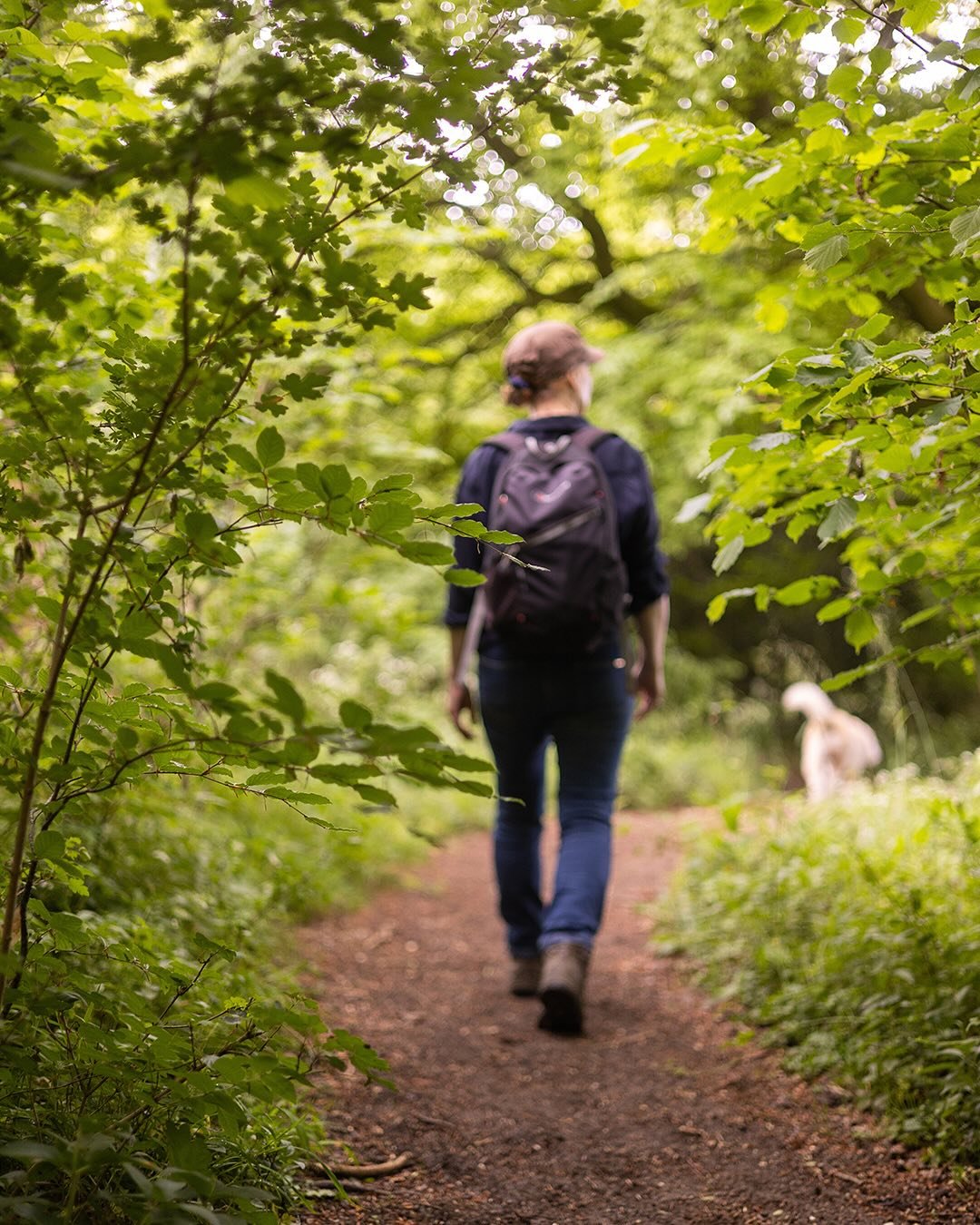 Into the cool woods&hellip; I&rsquo;m back in Hampshire after the throng of London and the brilliant Hiroshige exhibition at The British Museum.