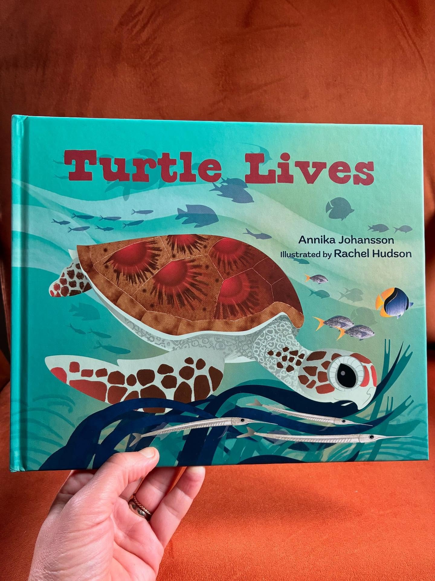 It&rsquo;s here! My advance copy of &lsquo;Turtle Lives&rsquo;, written by @annikajohanssonwriter and illustrated by me, has arrived and it&rsquo;s beautiful. It&rsquo;s published on 7 July by Tiny Seed, an imprint of Starfish Bay Publishing. (Have a