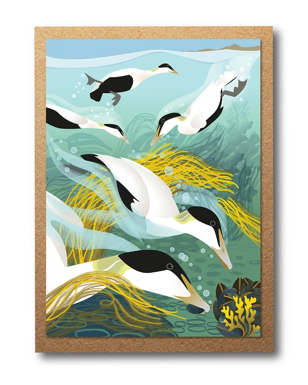 Diving eider ducks - now available in my shop, along with lots of other new greetings cards and illustrated notepads. (Link in bio.)