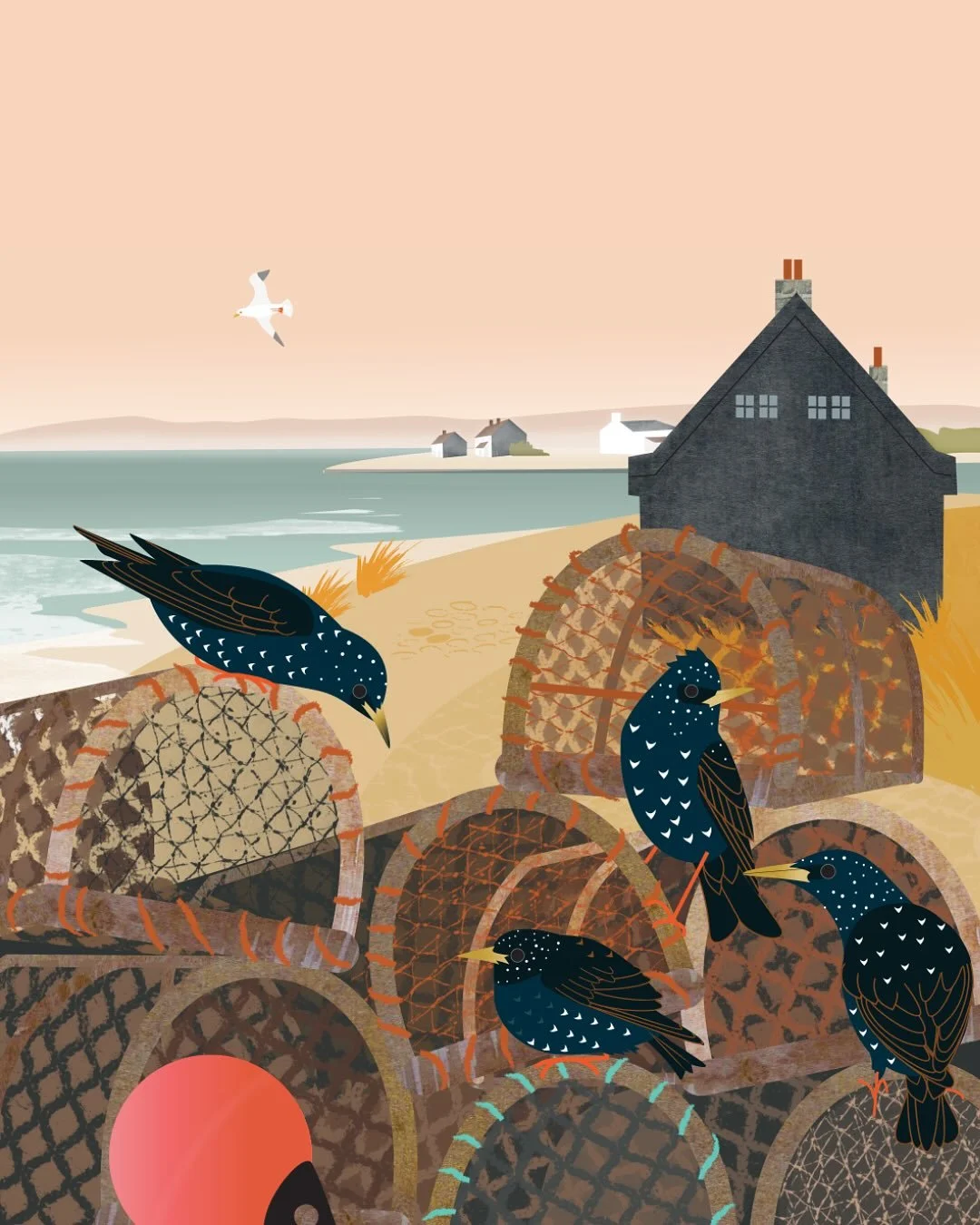 Starlings and lobster pots, Black House. Think of this as a musical interlude while I hang out at another boat house, away on location at a pretty special nature reserve on the Isle of Wight. (See Stories for today&rsquo;s highlights.)
