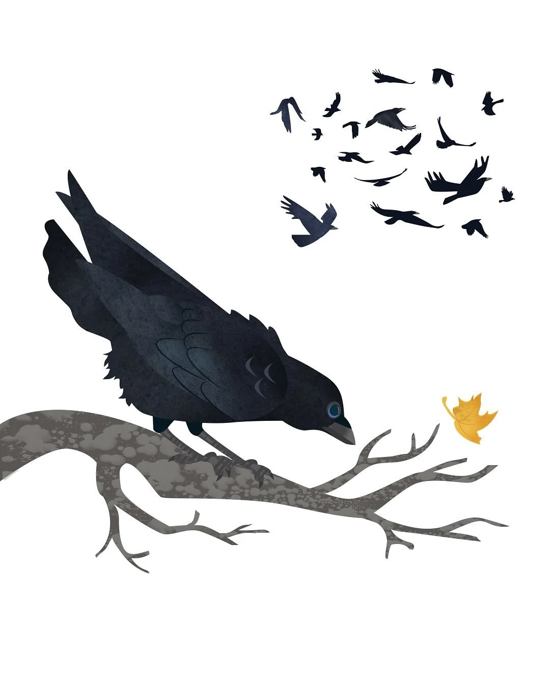 Announced today - How to Know a Crow is a nominee for the Yellow Cedar Award in Canada! This recognition comes from the Forest of Reading, Canada&rsquo;s largest recreational reading programme, which celebrates outstanding non-fiction for young reade