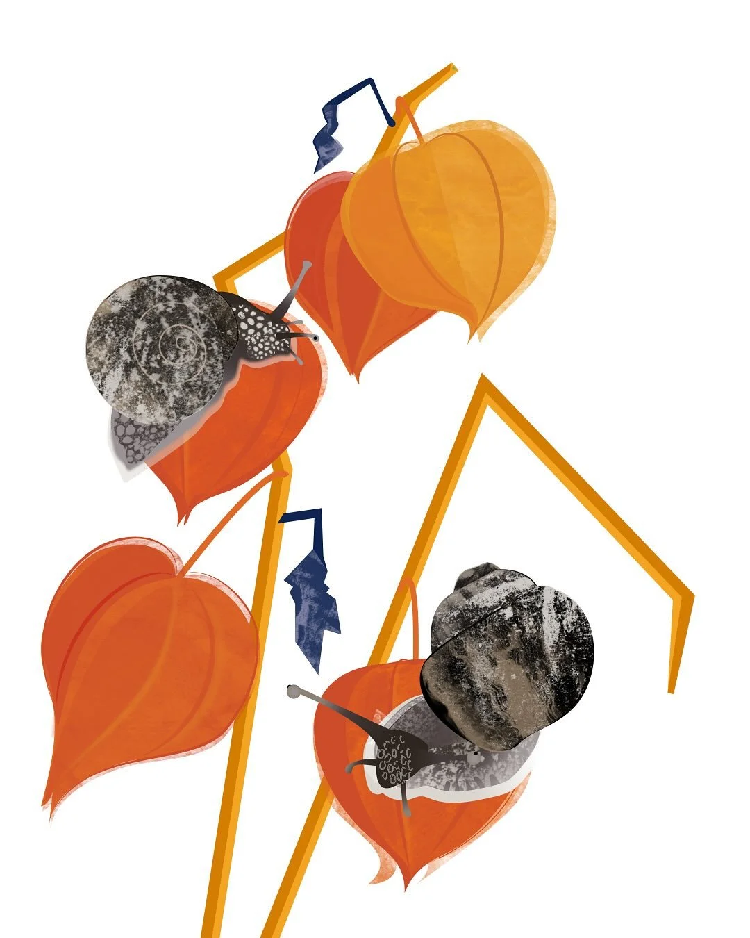 Garden snails and physalis. Seems appropriate for the current weather. If you haven&rsquo;t yet seen it, I&rsquo;d highly recommend &lsquo;Memoir of a Snail&rsquo; - the 2024 stop-motion animation directed by Adam Elliot. It&rsquo;s brilliant, funny 