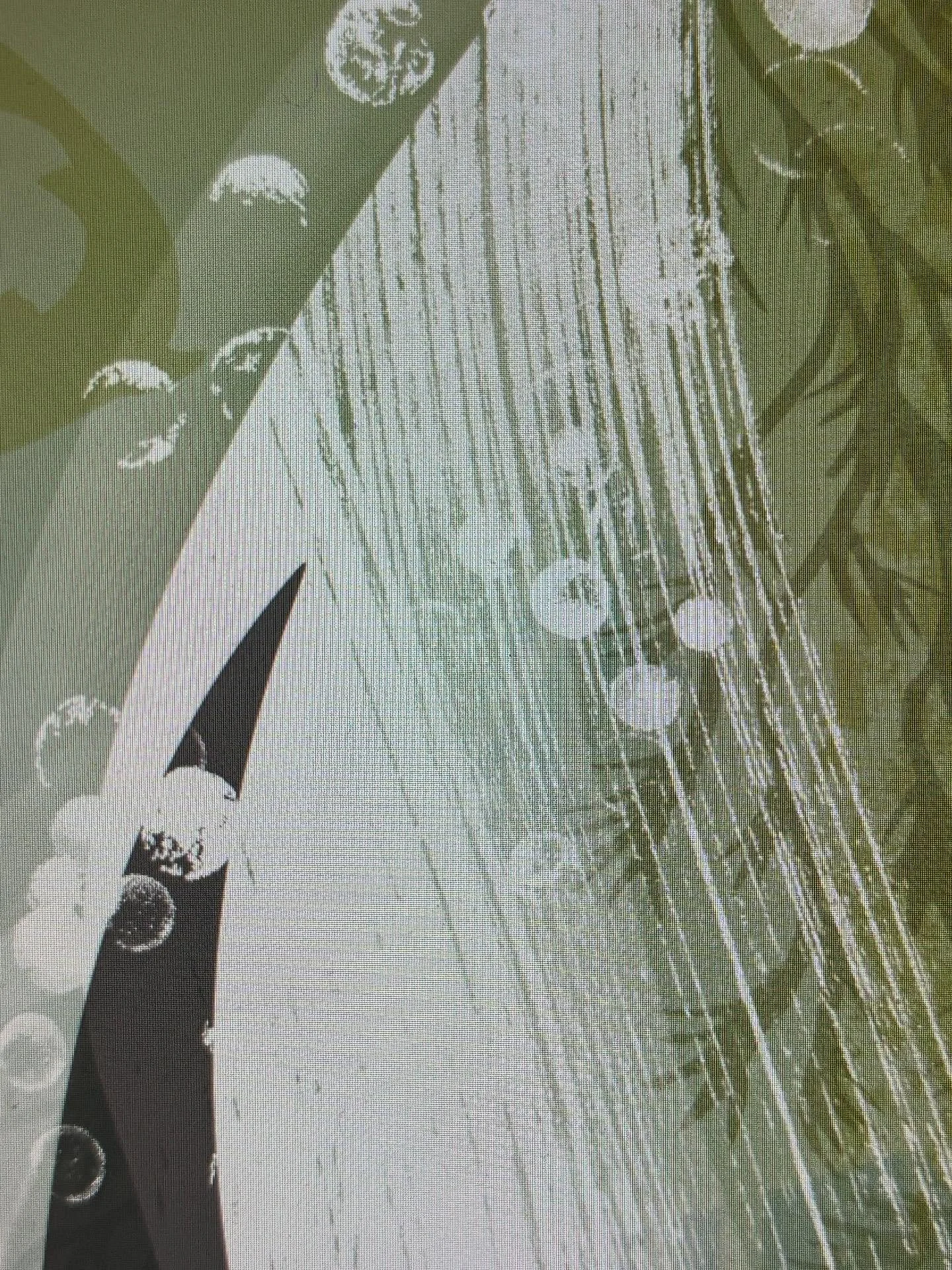 Sneaky peek at book cover art in progress along a riverine theme. Really enjoyed this one and I&rsquo;m looking forward to sharing. Have a great start to the week (and November). 🍂