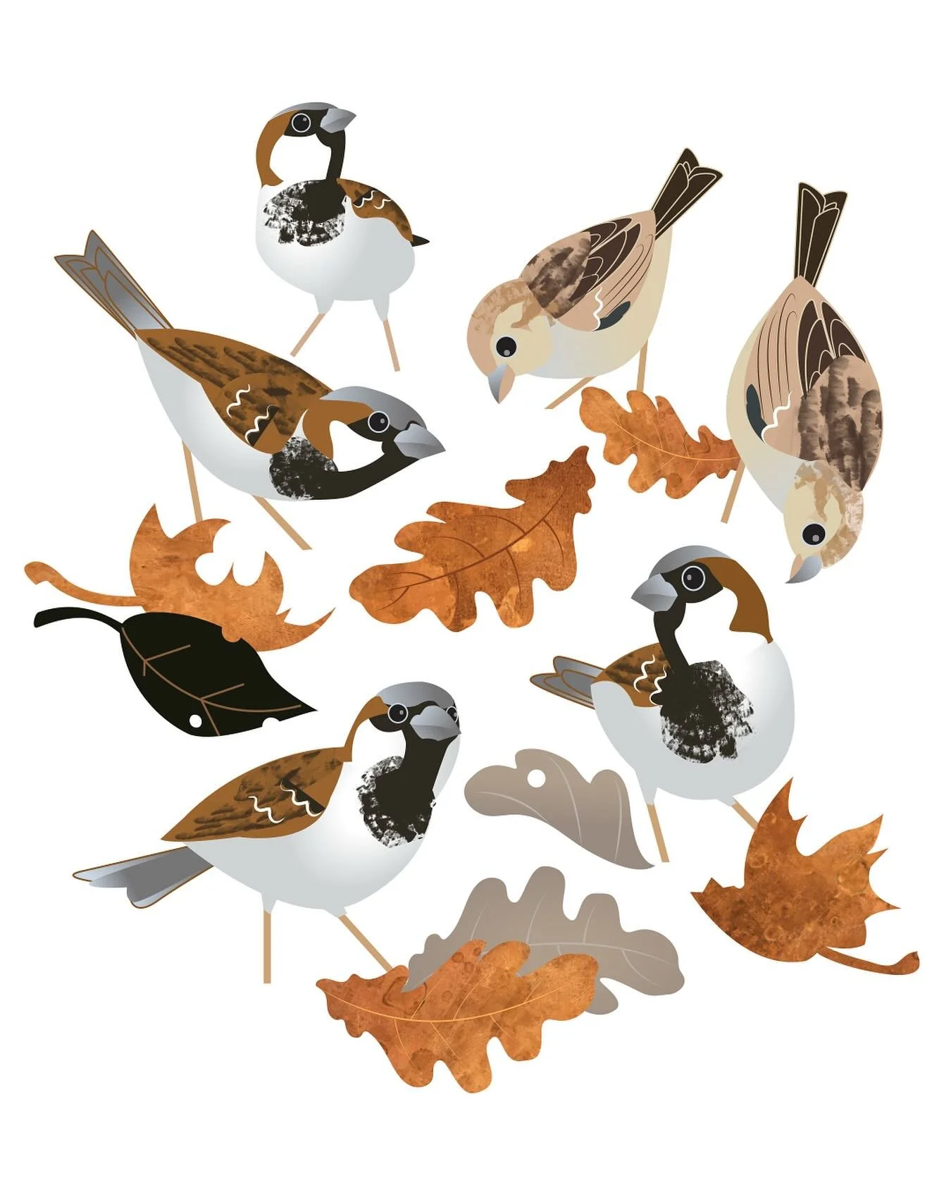 House sparrows. Meet the neighbours&hellip; They tend to keep themselves to themselves (and the same bit of hedge). Much chattier when you get to know them.