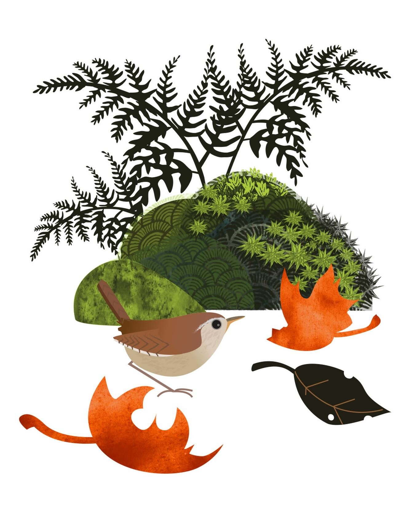 Ooh it&rsquo;s dark so early as we approach the shortest day. On my woodland wanders there&rsquo;s the odd pop of brightness with a fallen leaf or two. And when that lovely low winter sunlight breaks through - that&rsquo;s pretty special.