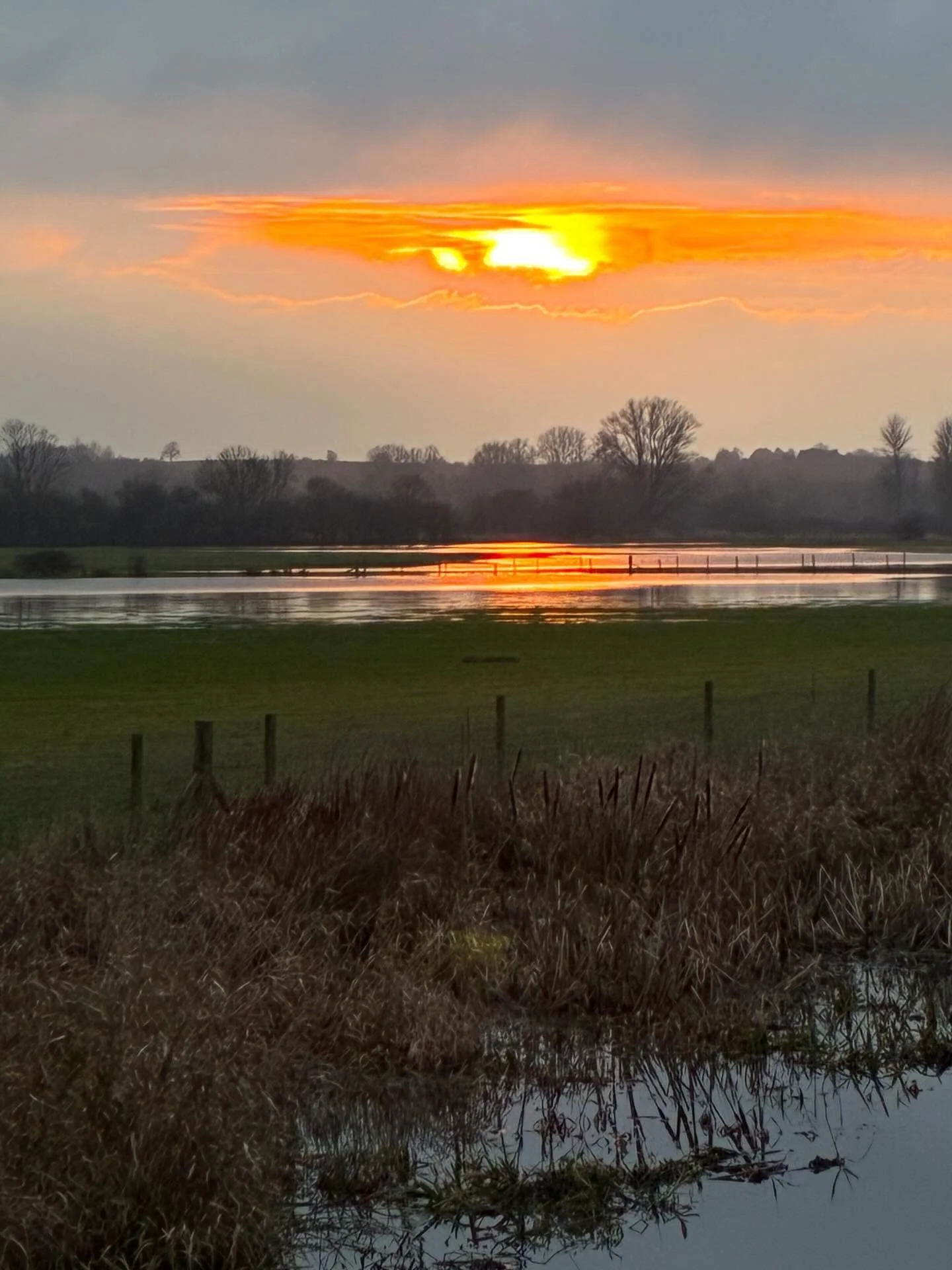 Winter light and a moment of still to wish you a very Merry Christmas. (Scroll for details of stained glass from the St Francis Window - a memorial to naturalist and curate, Gilbert White, from St Mary&rsquo;s Church, Selborne.)