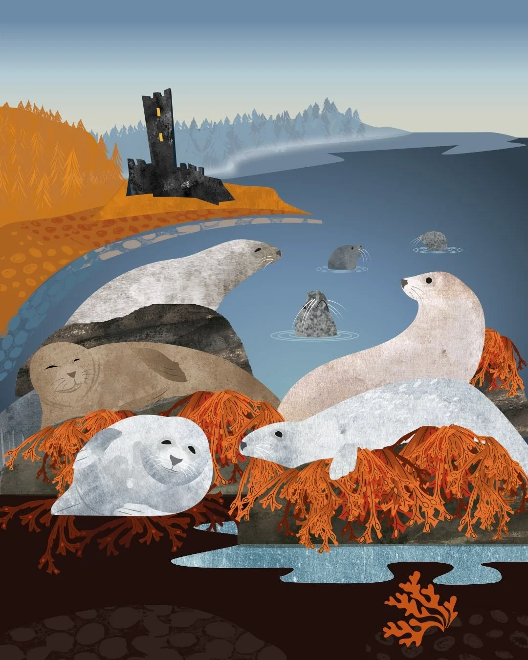 Dunvegan seals. Something wintery but warm while I sit by the wood burner with my favourite mug (befuddled with a cold - best laid plans and all that...)