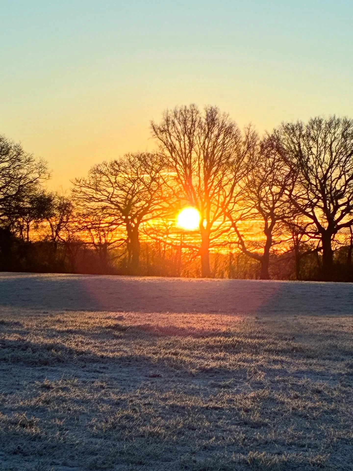 Winter light. If I&rsquo;ve set myself any goals for 2026, it is to meet more sun rises and enjoy more sun sets. Rosie and I headed off in the dark this morning towards the dawn, across a powdering of snow. As the sunlight spread through the trees, t