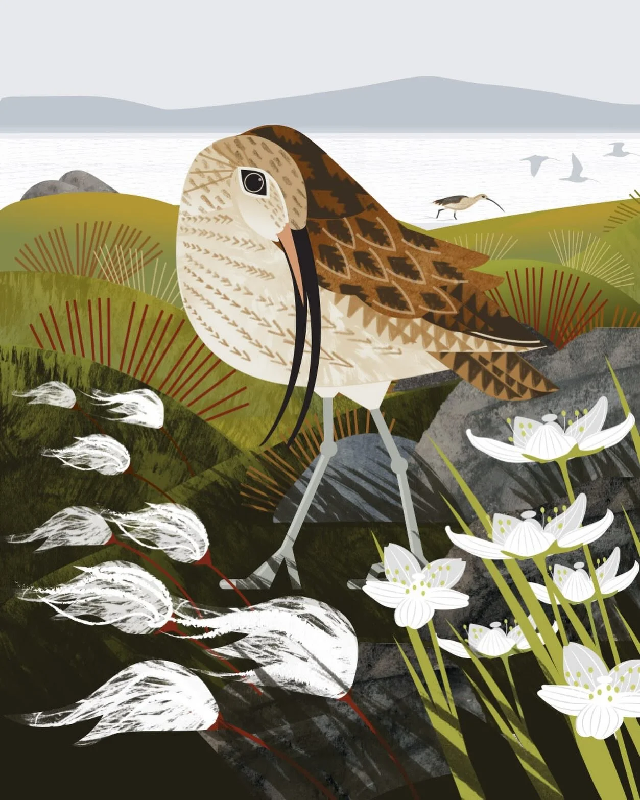 Curlew - Numenius arquata &lsquo;of the new moon&rsquo;.
.
I&rsquo;m beavering away on a couple of projects - one small, one big and not much time for the socials. But coastal birds are never far from my wonderings. On Hayling Island, last weekend, a