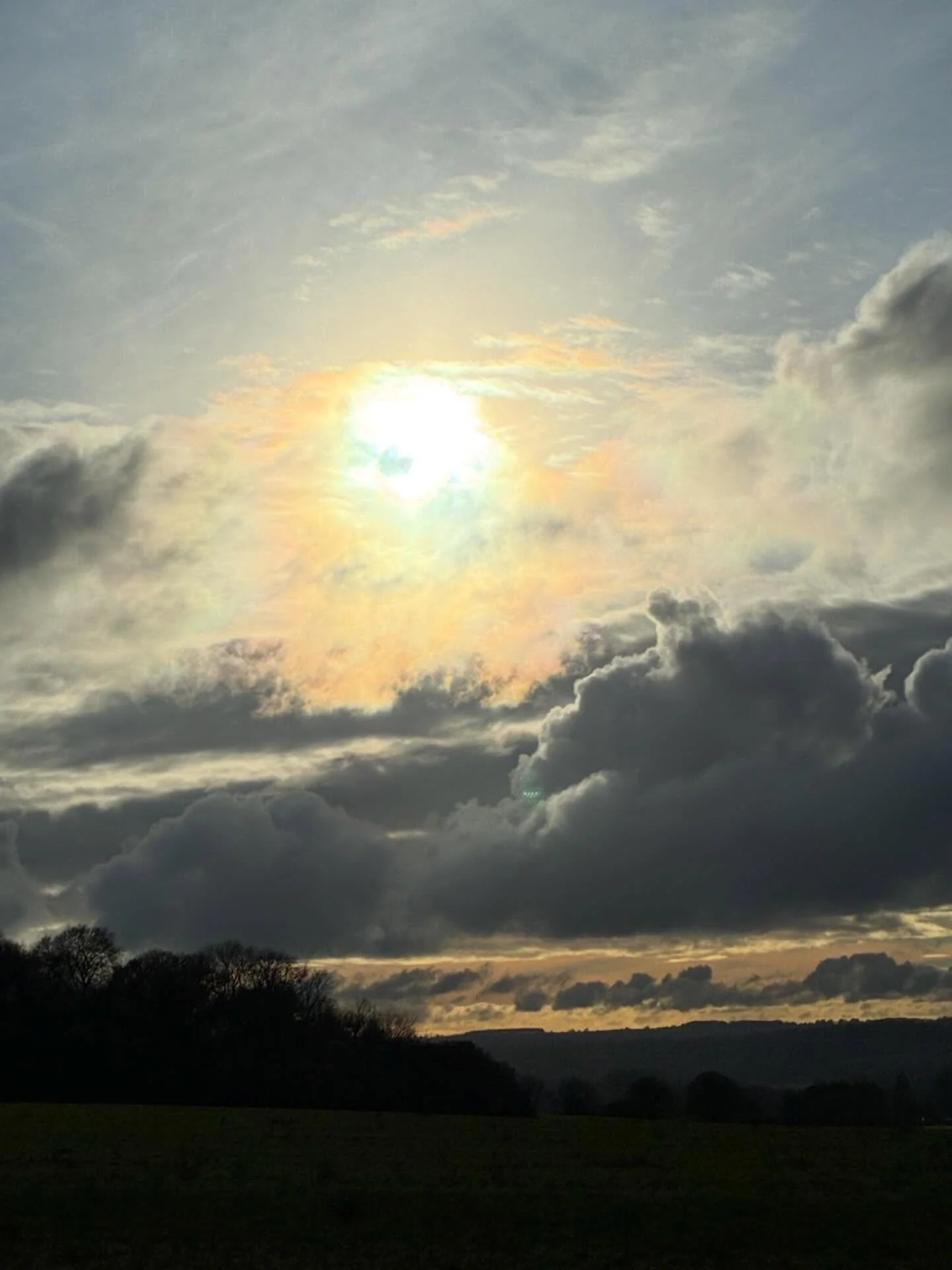 Winter light. Stark beauty.
