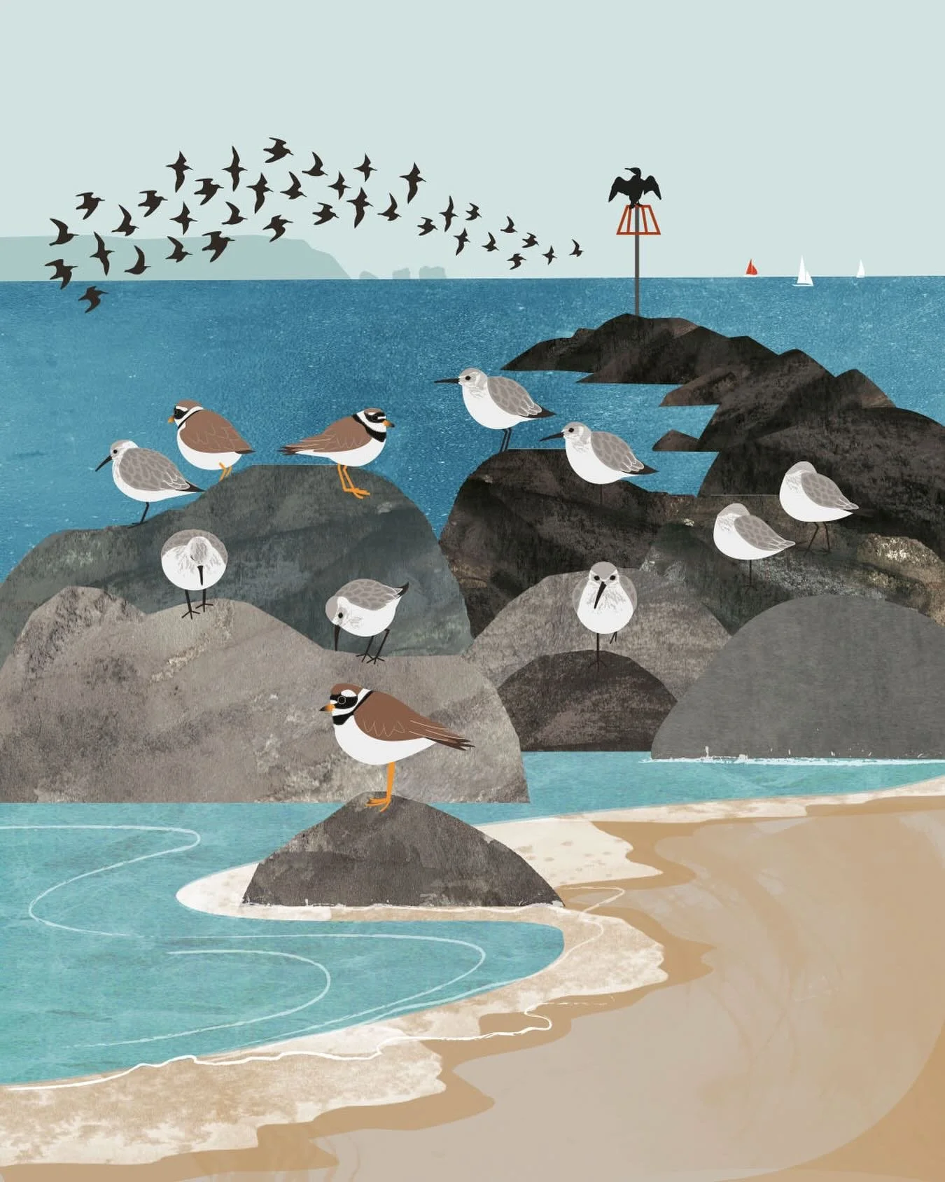 Dunlin and ringed plover, towards The Needles. Sometimes, illustrations that form from a wander and quietly percolate end up having a wonderful life of their own. This image has been published in Coast Magazine, on greetings cards sold around the wor