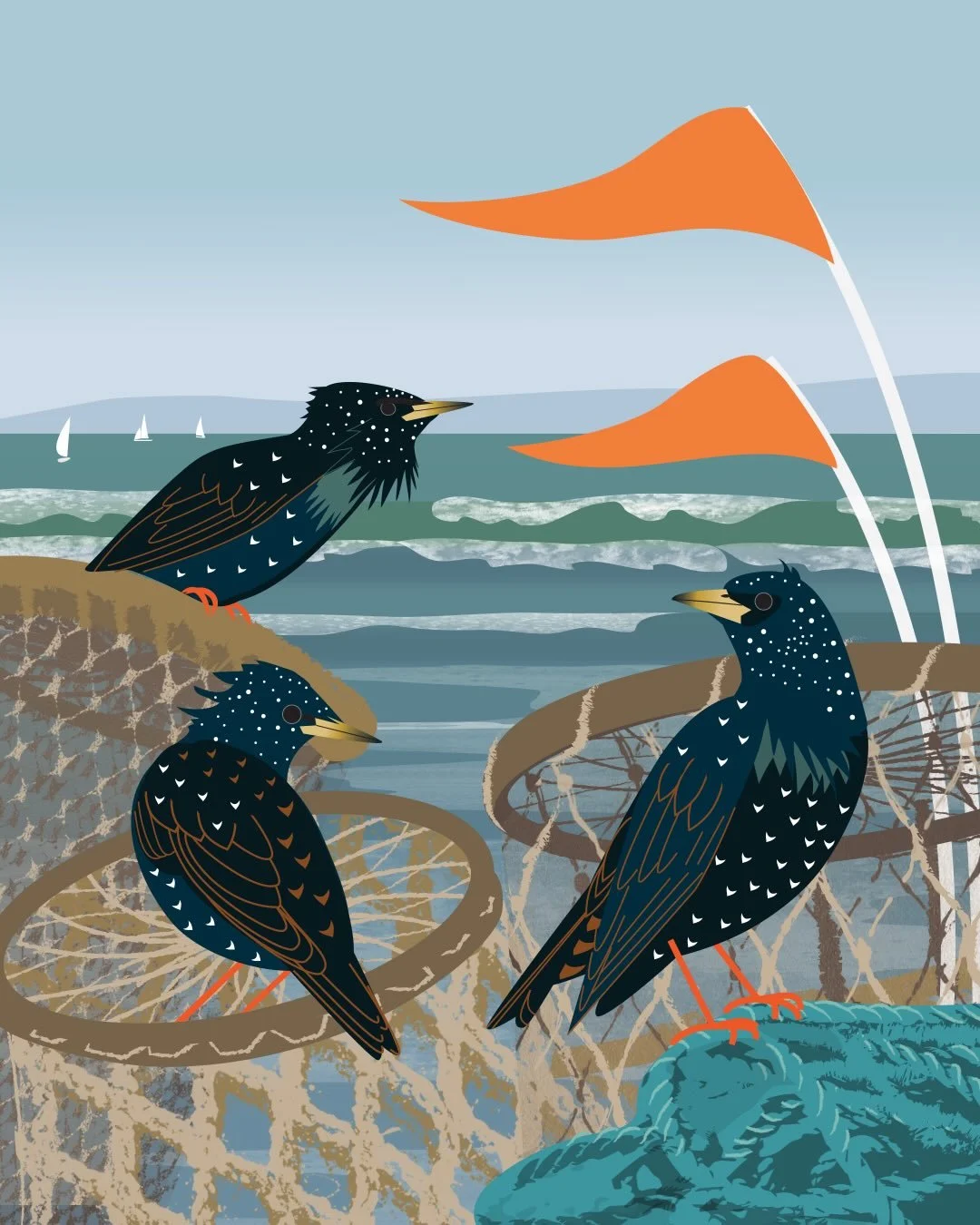 Starlings and lobster pots. Mudeford Quay over in Dorset is the best place I know to get really close to winter starlings and the constellations they carry on their wings.