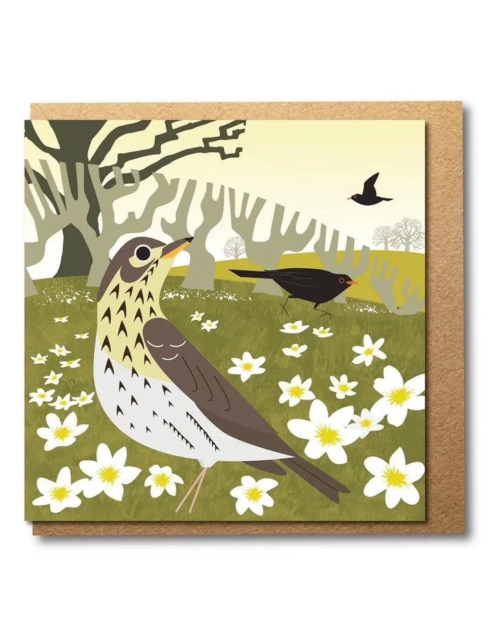 Birds! They are building their nests, singing their songs and announcing the arrival of spring. I&rsquo;m enjoying two particular bird books at the moment - Bird School by Adam Nicholson, published last year and Let&rsquo;s Watch The Birds by W. Perc