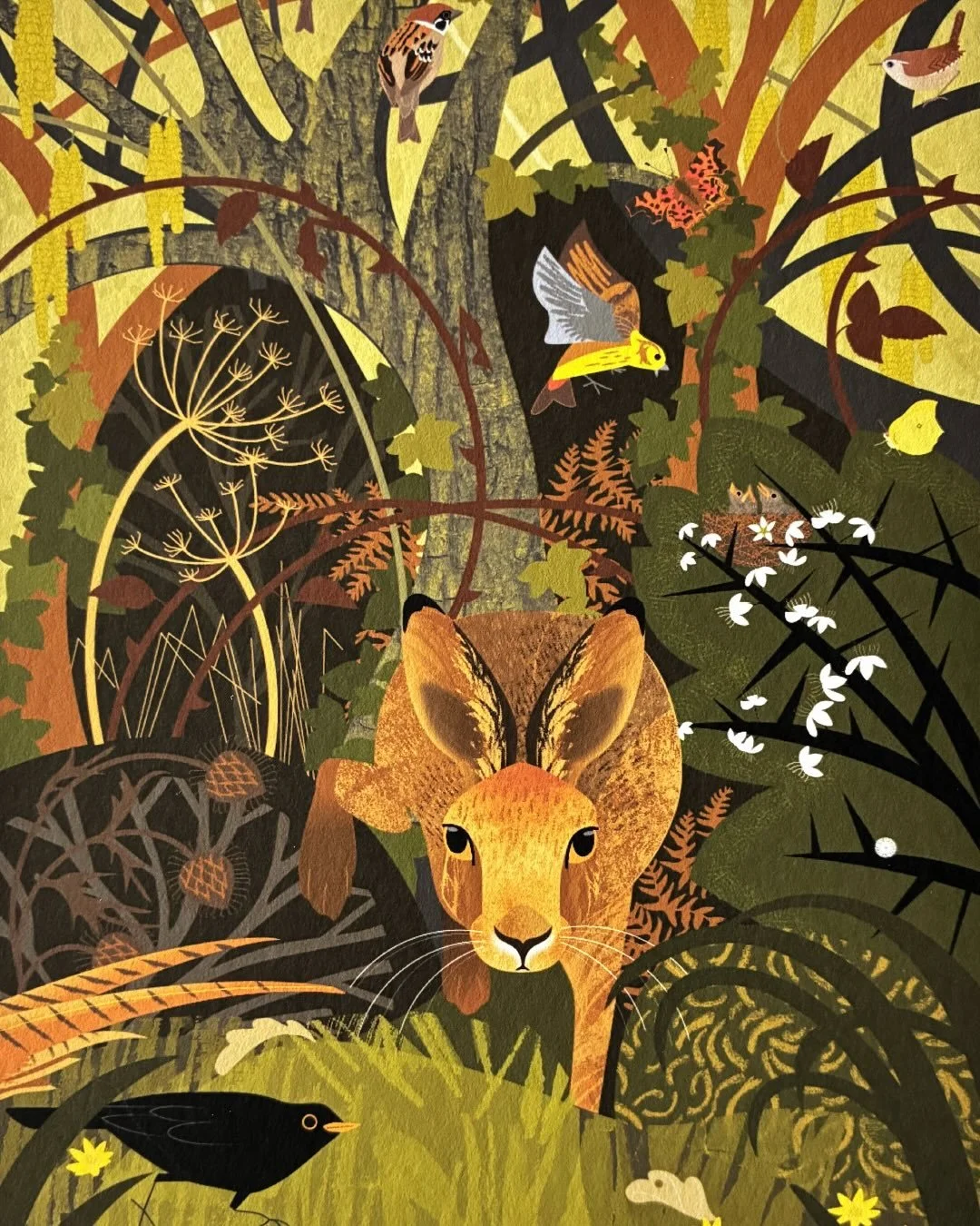 Spring hare and hedgerow. Carpets of celandine have emerged beneath the froth of blackthorn blossom and the occasional bee is bumbling about. I even spotted my first brimstone of the year.
.
I&rsquo;ve finally got round to creating a new collection o