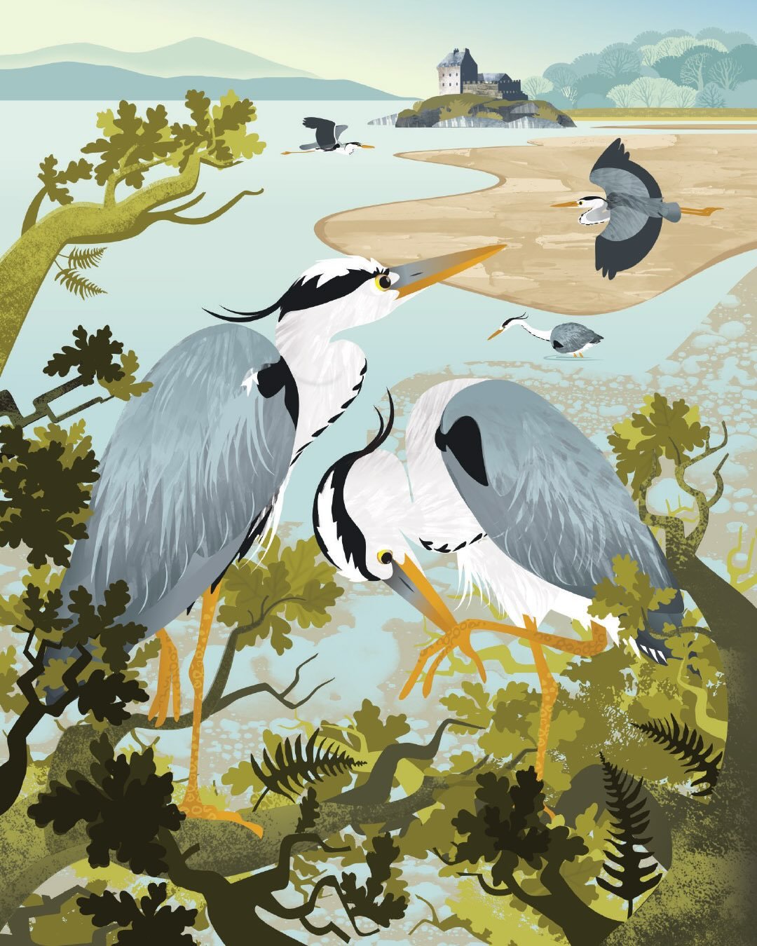 Heronry towards Duntrune Castle, Loch Crinan. This is a new illustration from memories of last summer in Knapdale, Argyll. As we kayaked or walked across the tidal waters and sands we were met by the constant activity of our heron neighbours. They em