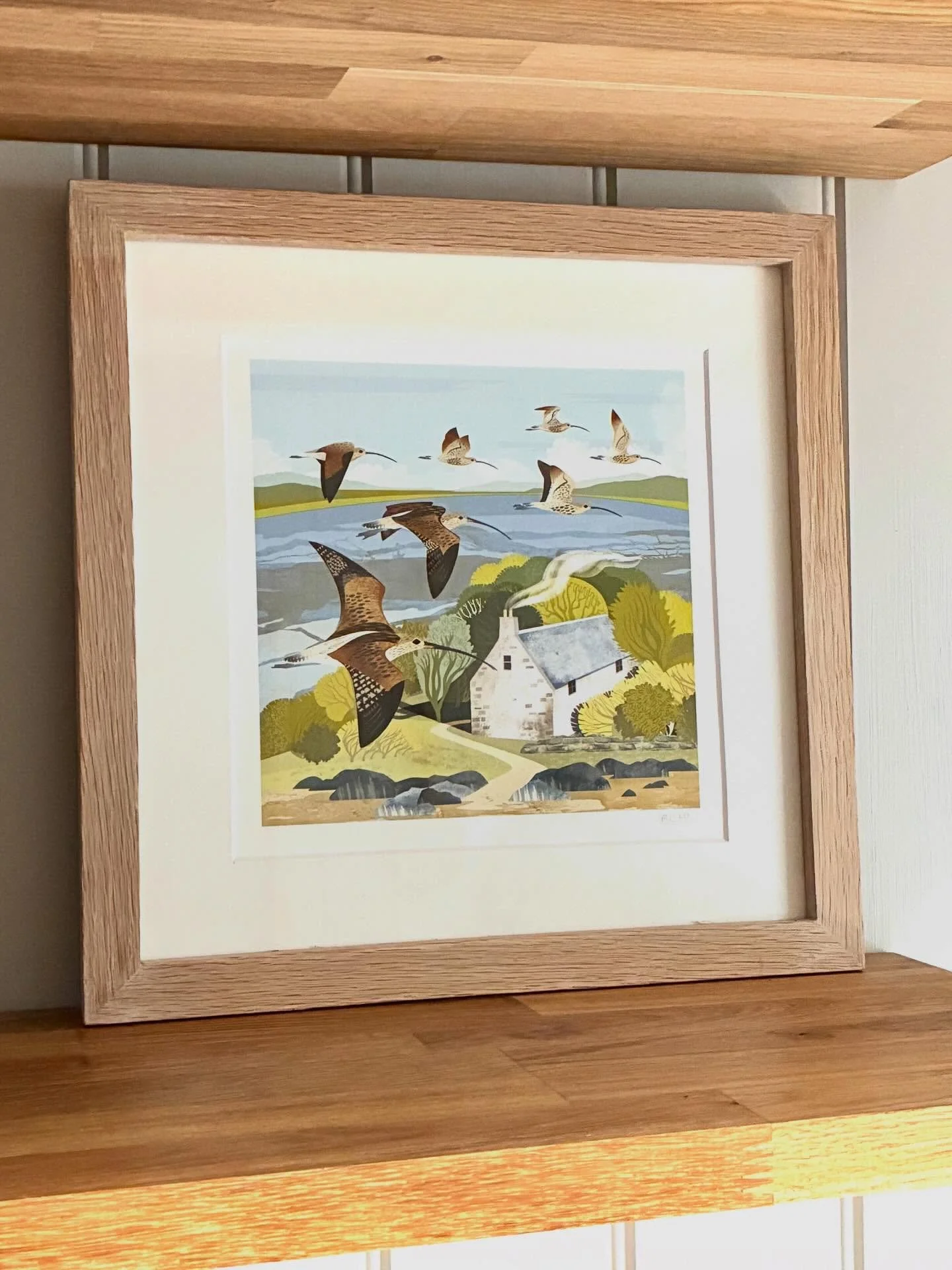 Saturday at St Swithun&rsquo;s was a lovely event - the Members&rsquo; Day of Hampshire Ornithological Society. Such a joy to share bird encounters and favourite wild places with passionate, nature-focused people. Thank you for your company and all y