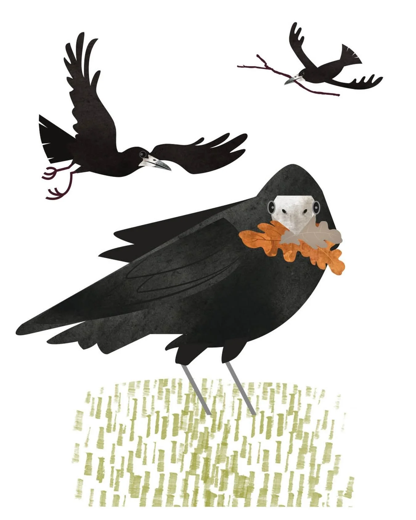 Rooks, never a dull moment with neighbours like these&hellip;
.
Last year, two pairs successfully nested in our garden. This year, there are five.