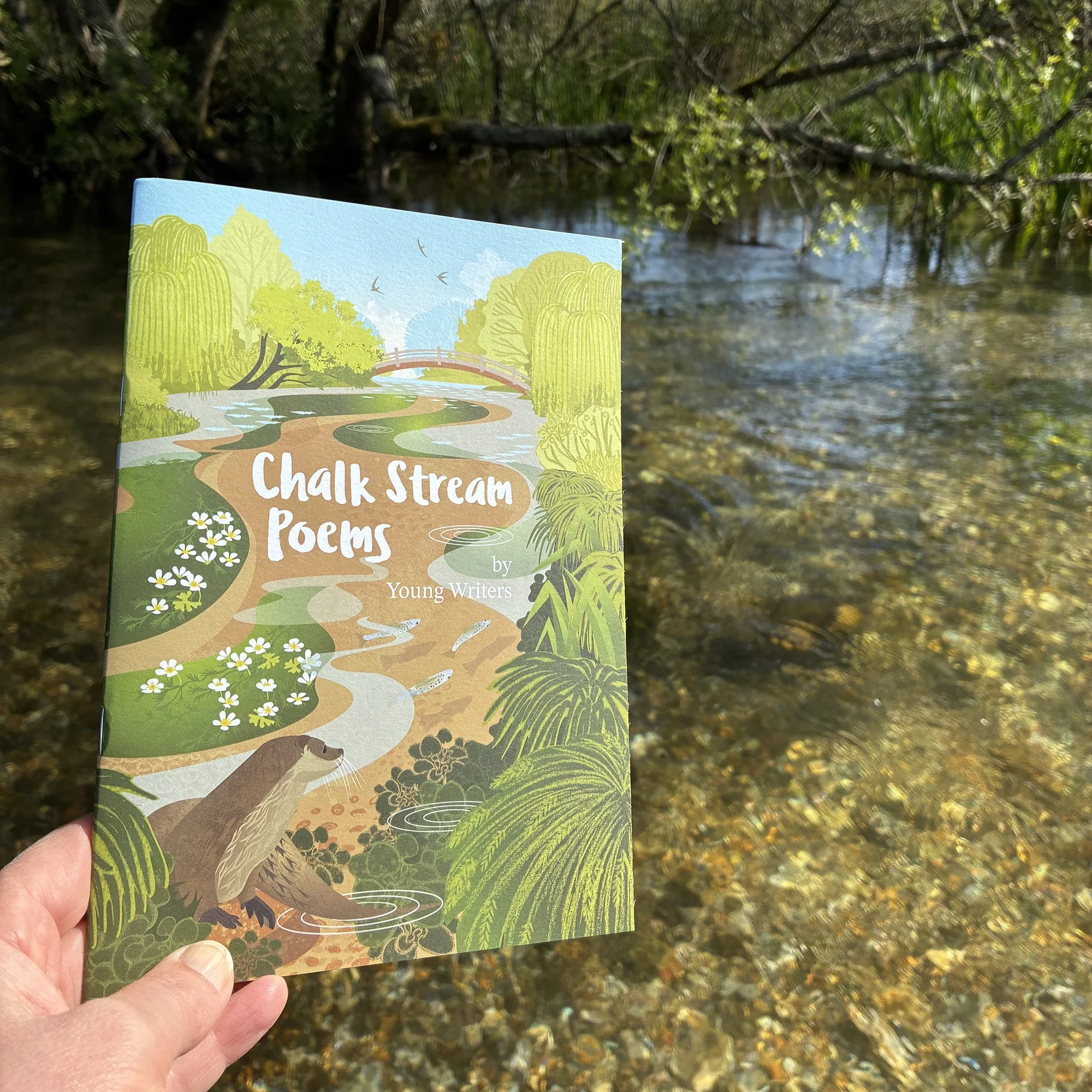 Rachel-Hudson-Illustration-Poetry-Chalkstream-Hampshire-Wildlife-Trust.jpg
