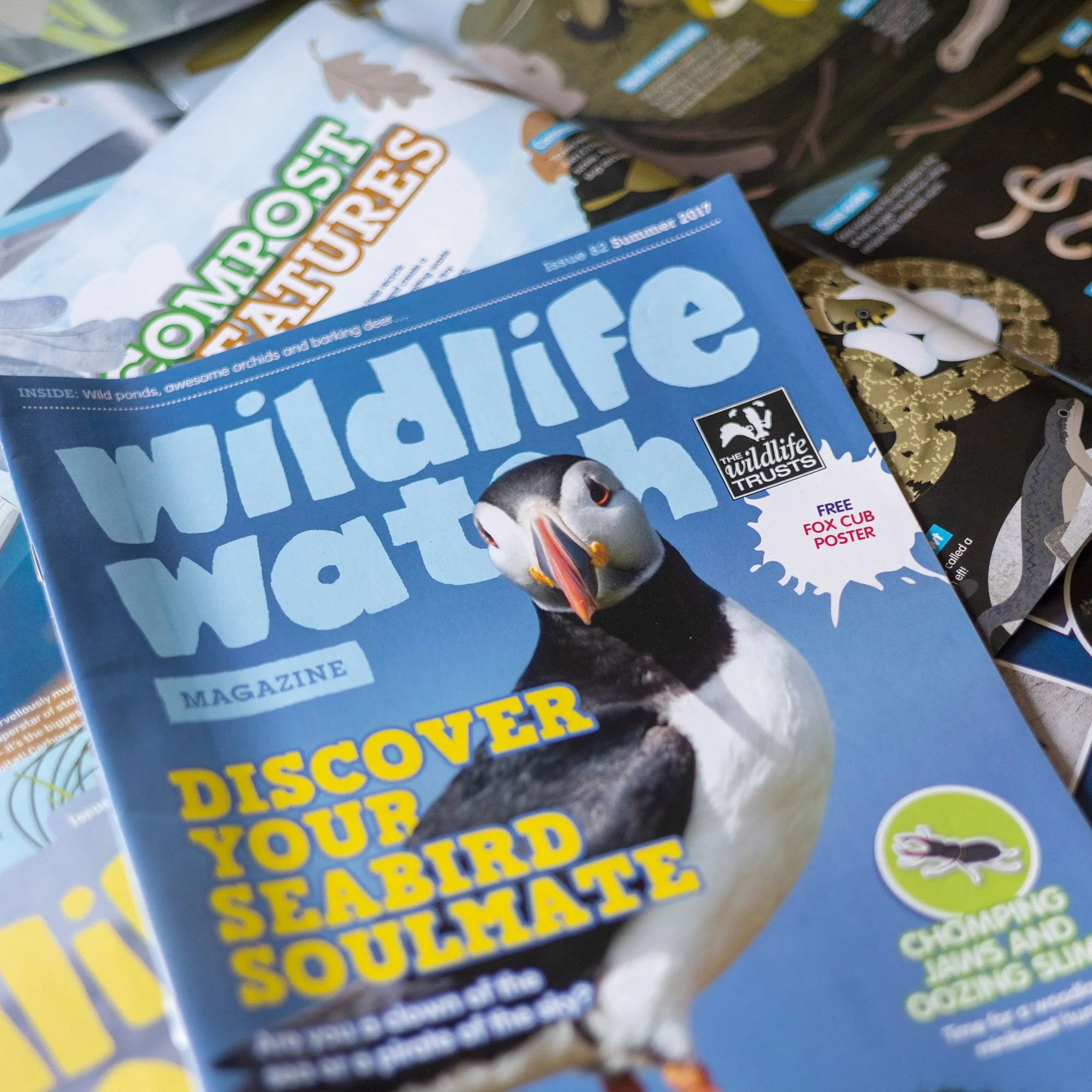 Wildlife Watch Magazine