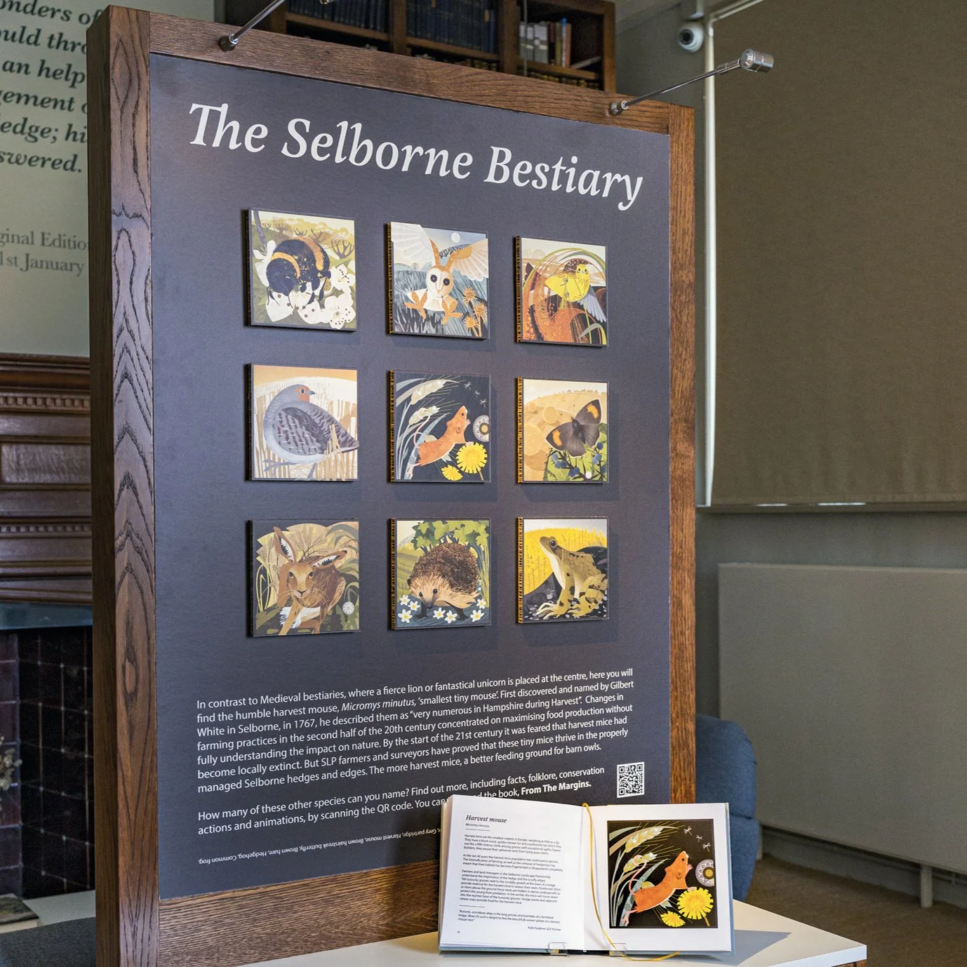 From The Margins - Selborne Landscape Partnership