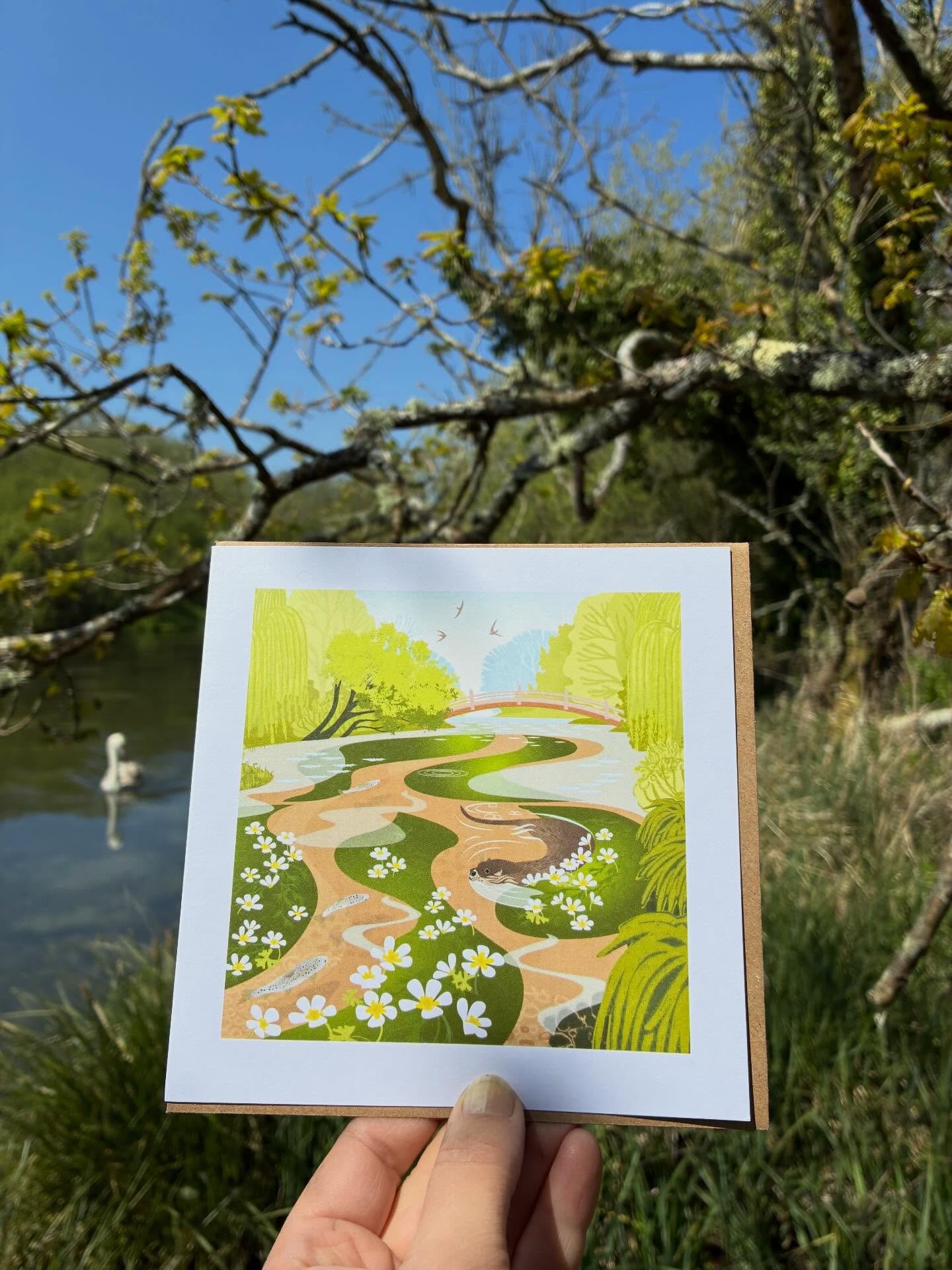 Chalkstream adventures in greetings form. Soon it&rsquo;ll be time for one of nature&rsquo;s most spectacular riverine shows to begin&hellip; the mayfly hatch.
.
Blank inside for your own message, these cards are available individually and as a set o