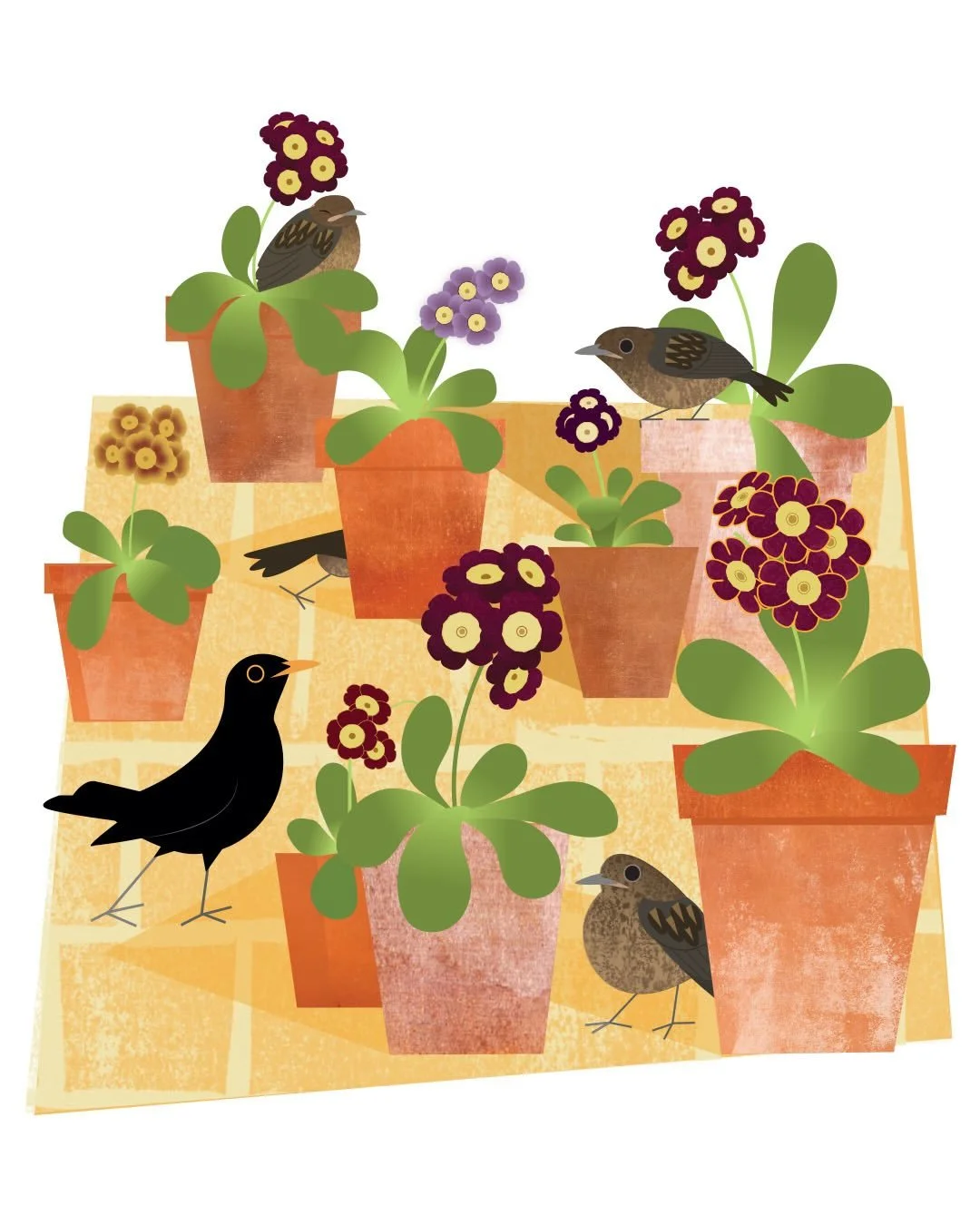 Blackbirds and auricula. &ldquo;The language of birds is very ancient, and, like other ancient modes of speech, very elliptical: little is said but much is meant and understood&rdquo;. Gilbert White
.
Happy 100th Birthday @davidattenborough - a lifet