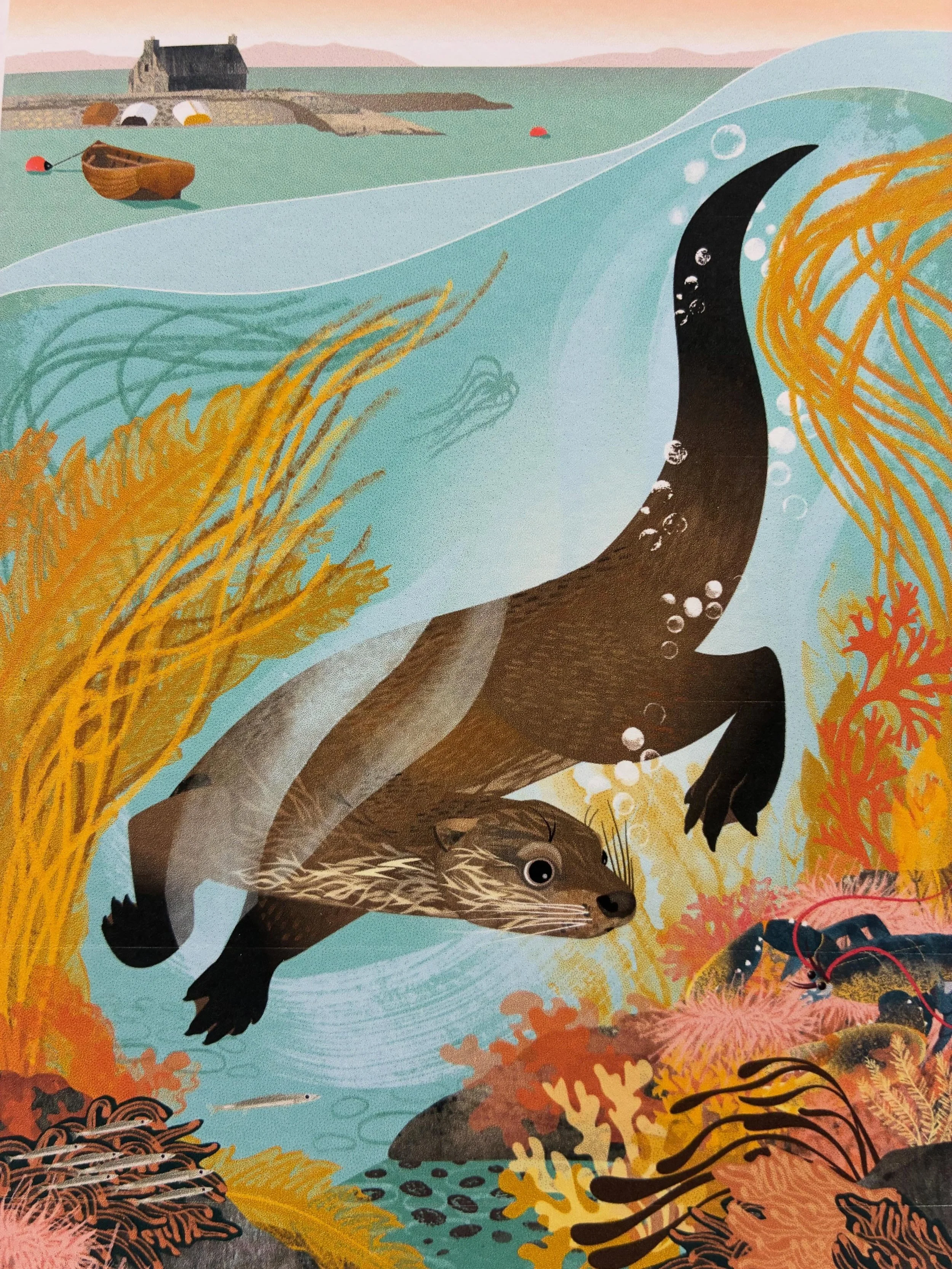 Otter and lobster, Staffin Harbour, Isle of Skye. Not holding back on colour here as under the sea in the Hebrides is other worldly. We watched this foraging otter diving beneath the fishing boats, its tail forming that characteristic arc before prop