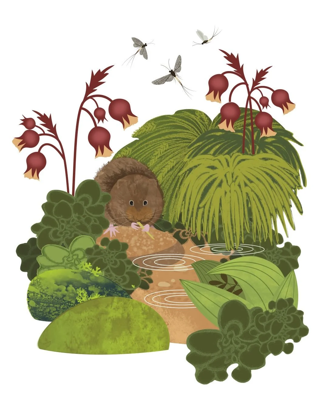 Water avens, water vole and mayflies. A medley of chalk stream wildlife this time of year (and the inspiration behind the illustration). These last few weeks I&rsquo;ve been totally immersed in the final stages of a big project with the National Trus