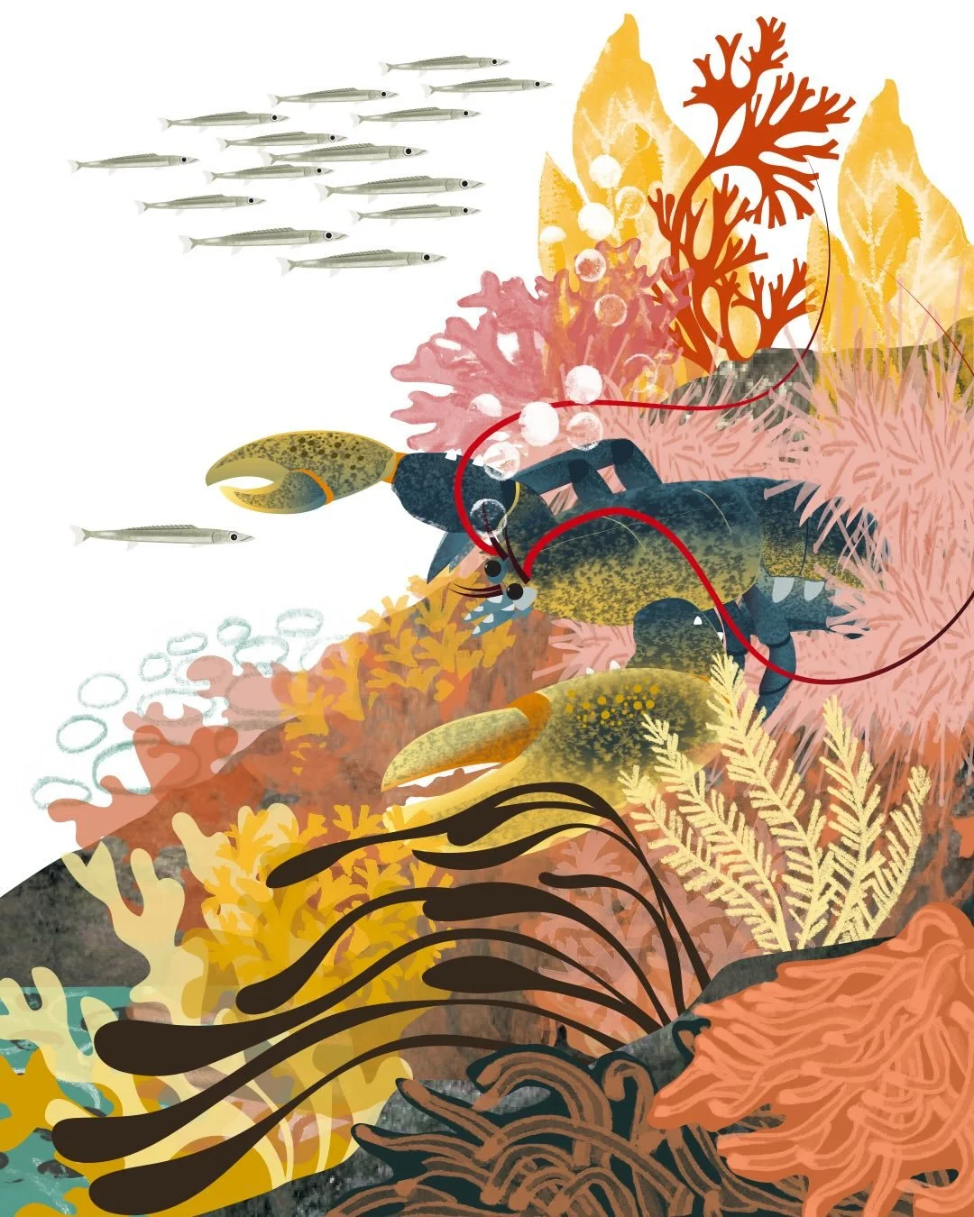 Lobster, sand eels and seaweed. This is a detail from my new illustration - Otter at Staffin Harbour, Isle of Skye. (Along with a few of the hand painted textures woven in.) 
.
Lobsters always remind me of a quote by the Irish artist, Louis Le Brocqu